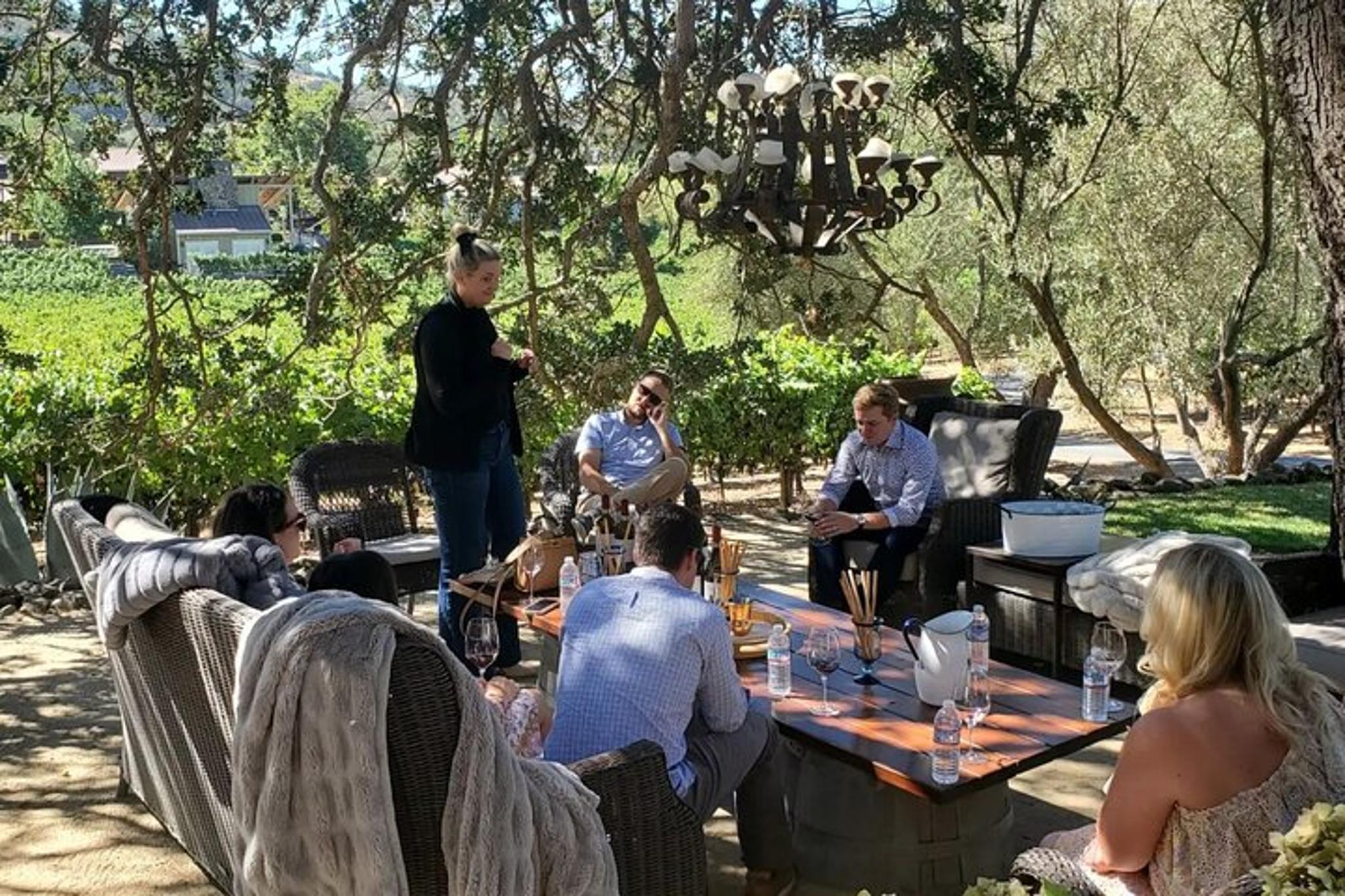 Napa Valley Private Transportation - Image 4