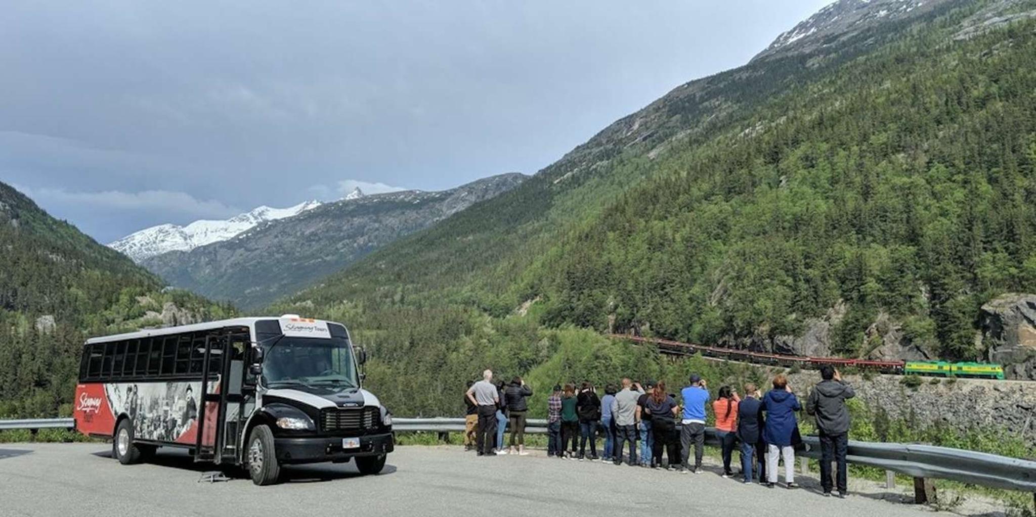 Skagway Yukon Adventure with Suspension Bridge and Puppies - Image 3
