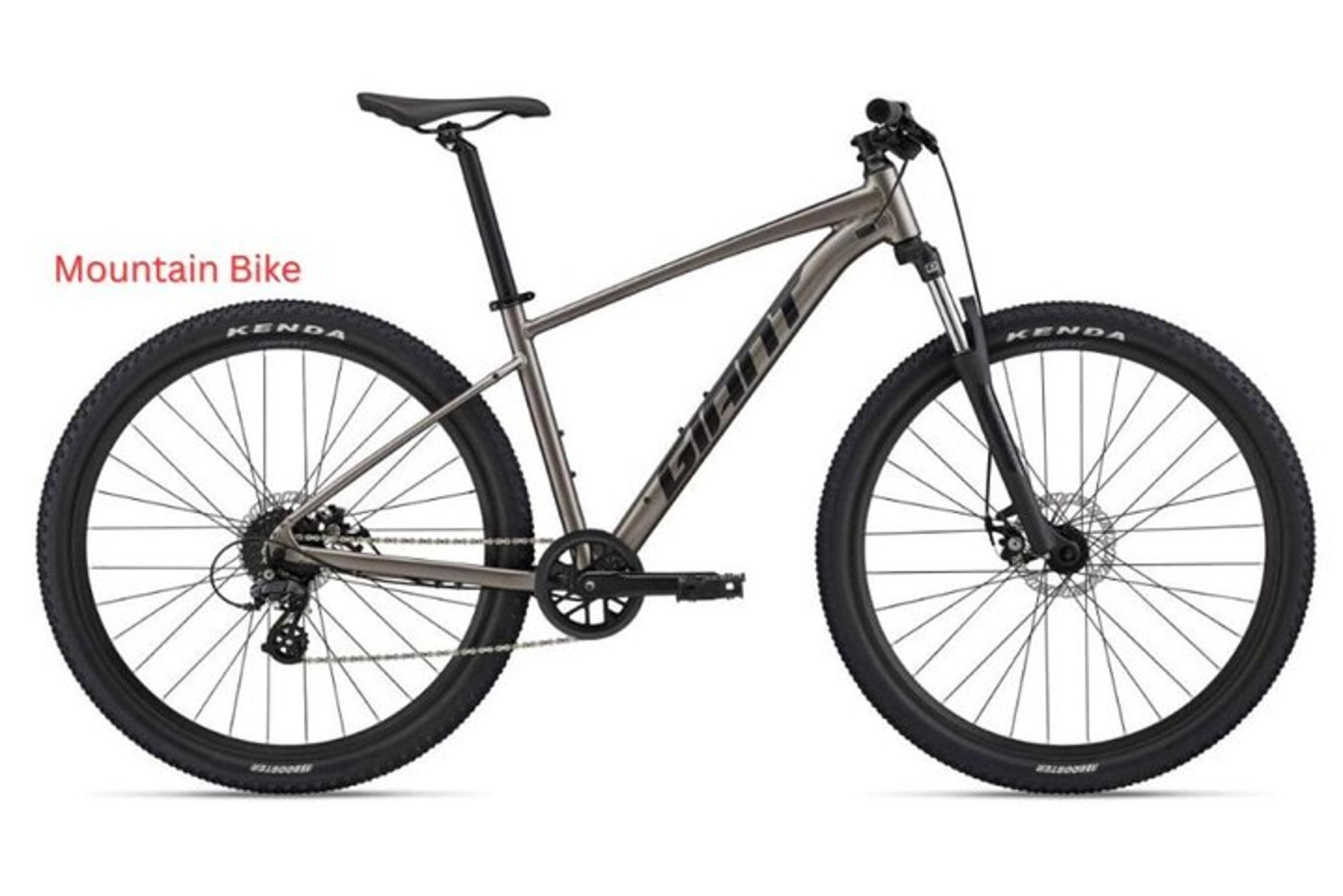 Los Angeles Bike Rental: Pedal or Electric Options - Image 5