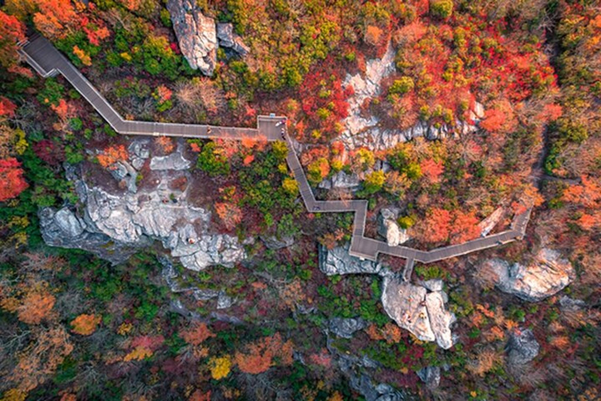 Asheville Blue Ridge Parkway Self-Guided Audio Tour - Image 6
