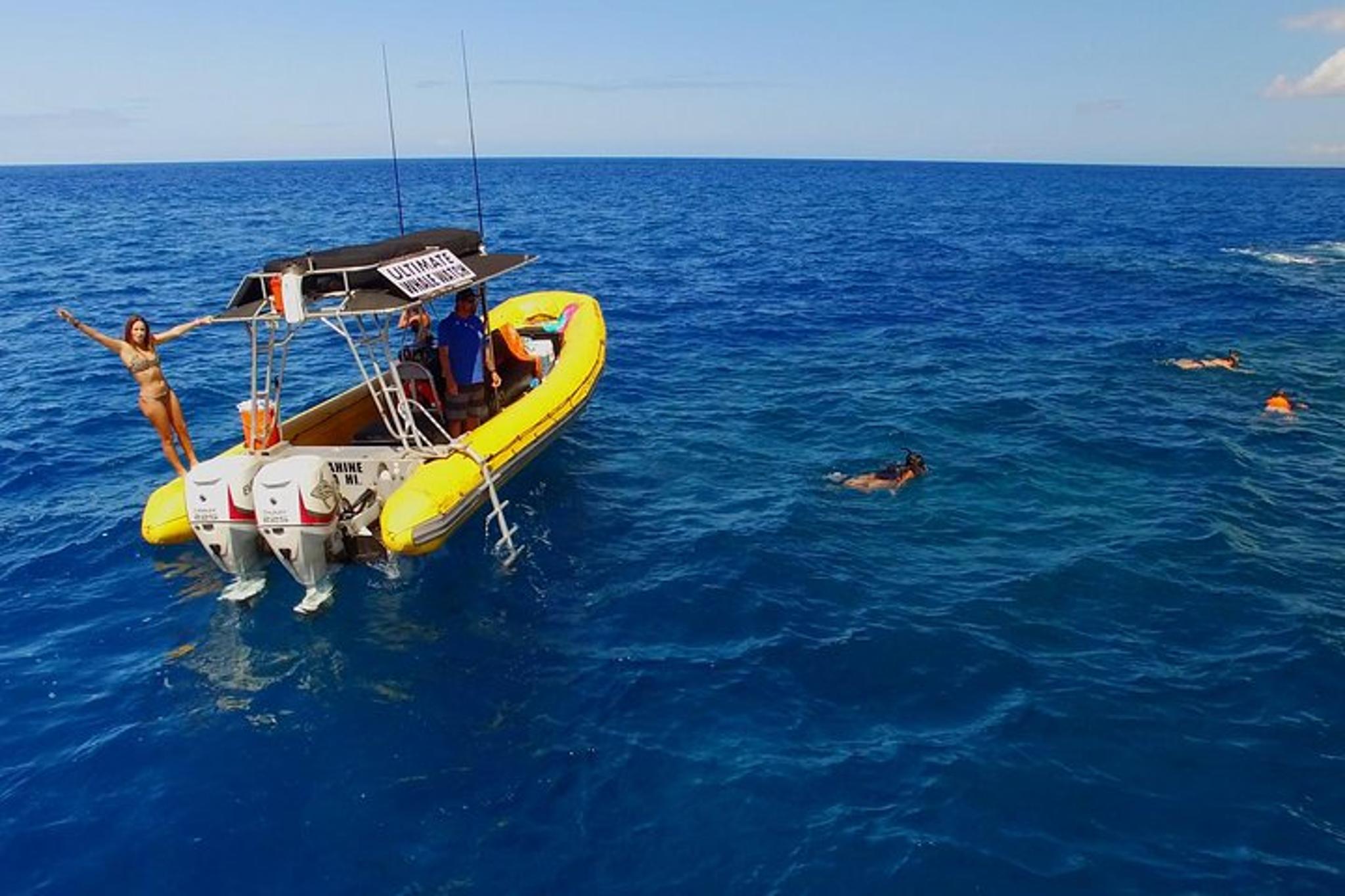 Lanai Dolphin Adventure and Snorkel Tour - Image 4