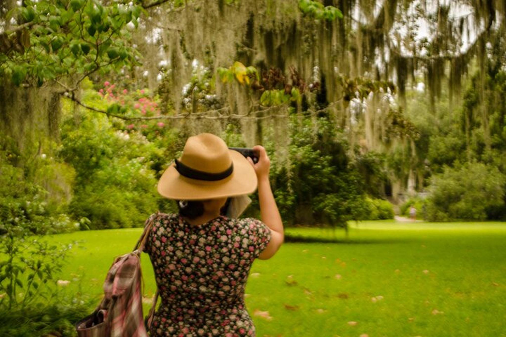 Charleston Plantation and City Bus Tour - Image 3