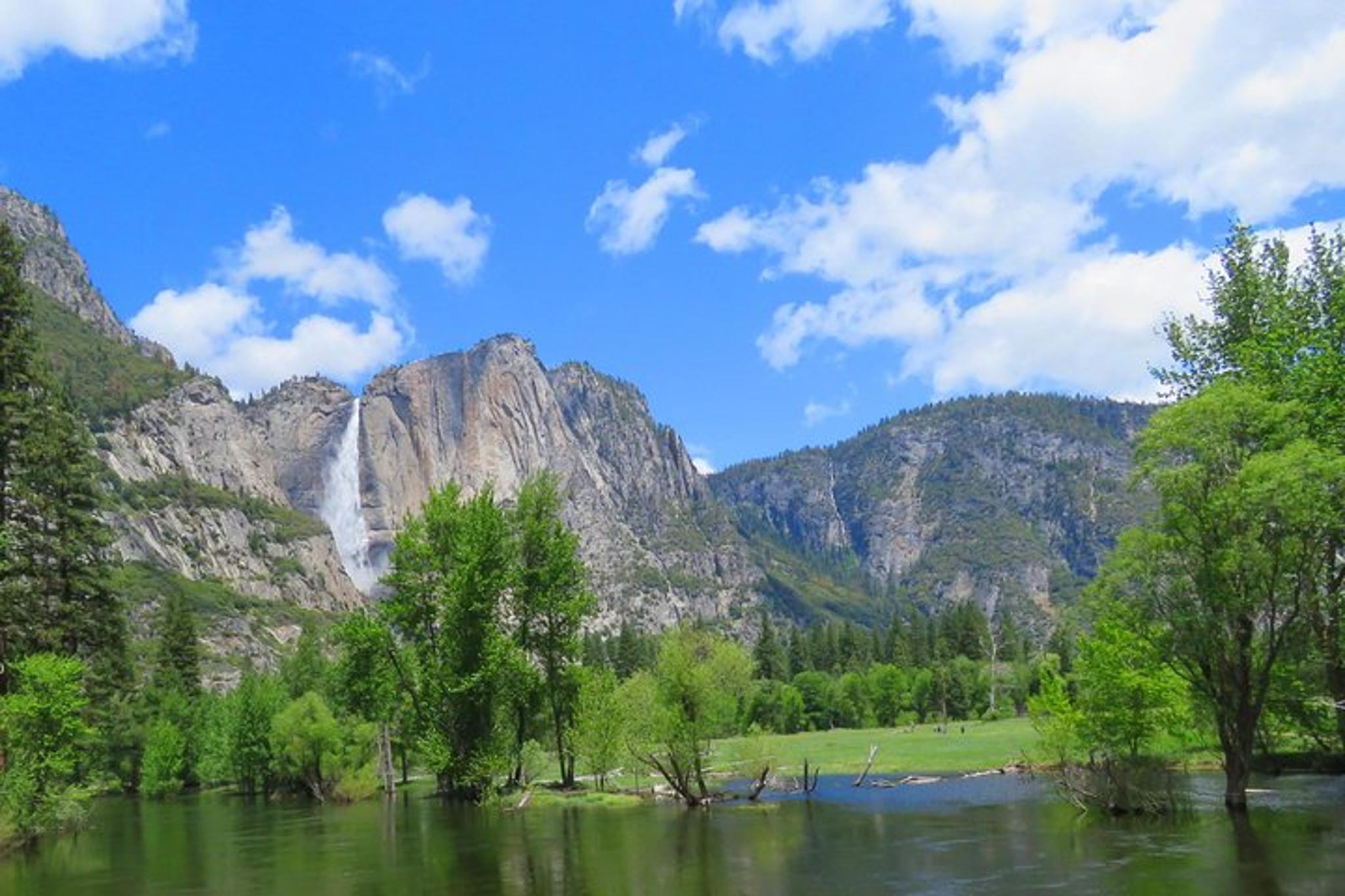 Yosemite National Park Private Tour with Hotel 2-Day - Image 5