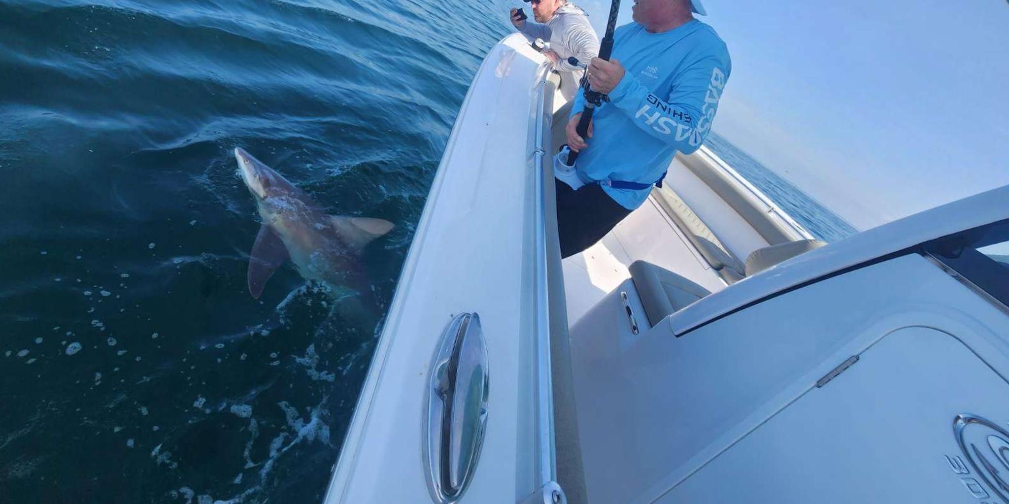 Destin Fishing Charter - Image 5