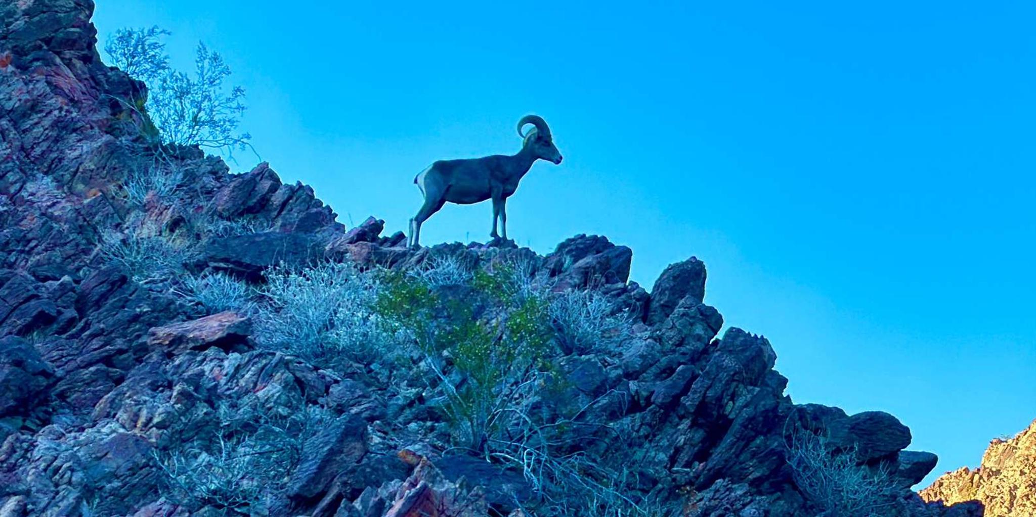 Las Vegas Camping and Kayaking Adventure - Image 3