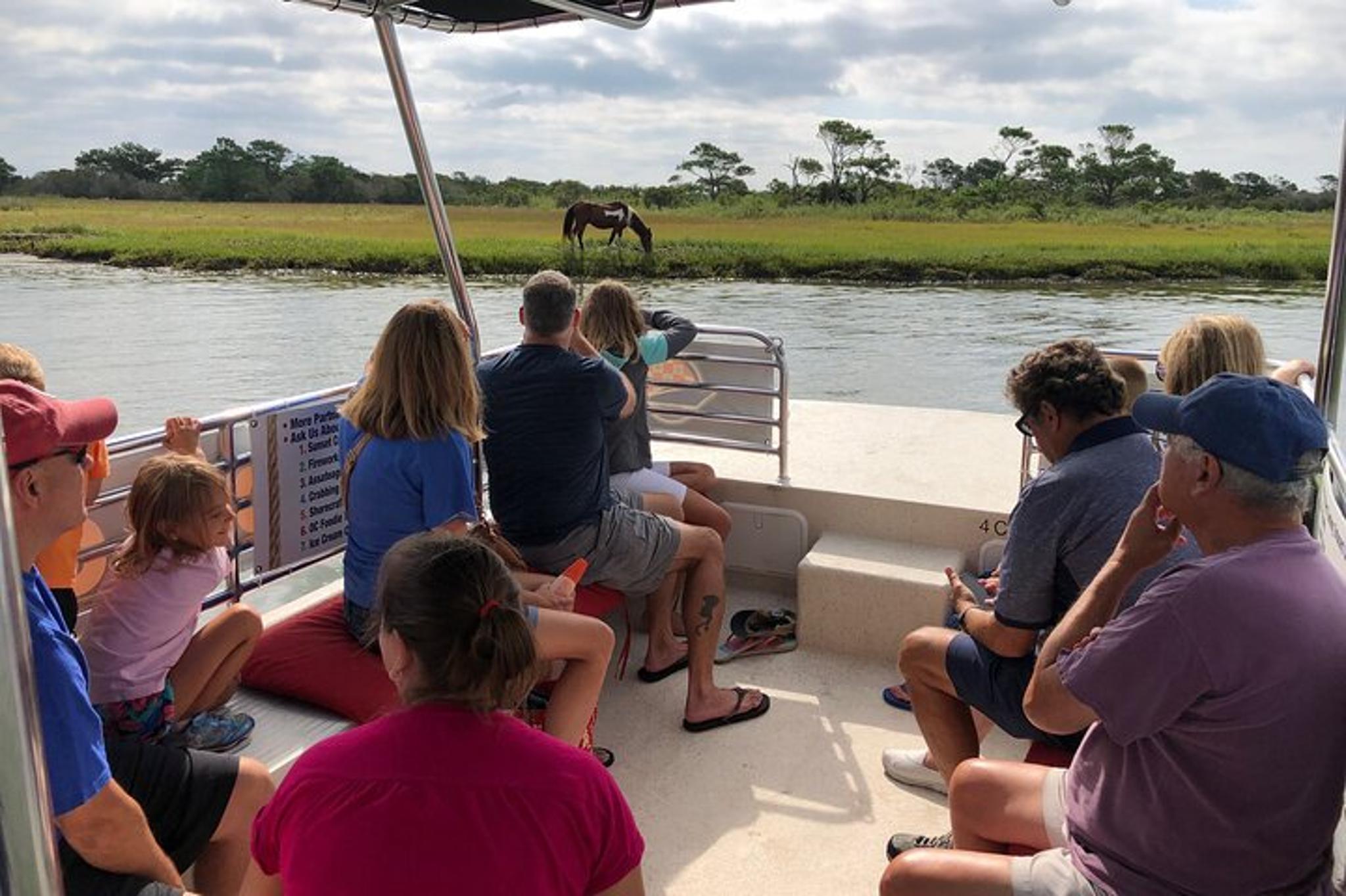 Ocean City Assateague Island Swim Cruise - Image 2