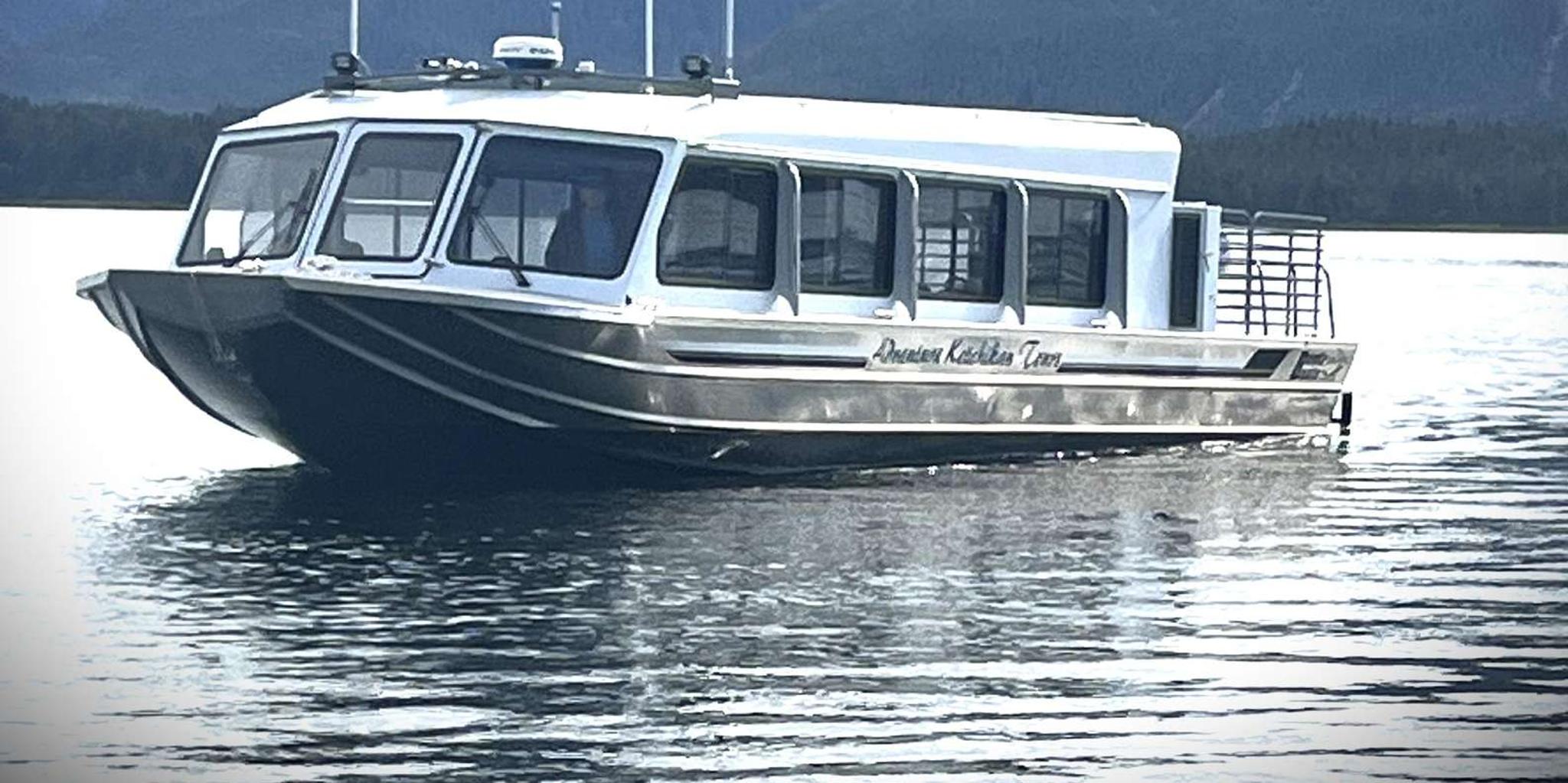 Ketchikan Black Bear Viewing Tour by Land & Sea 5 hr - Image 6