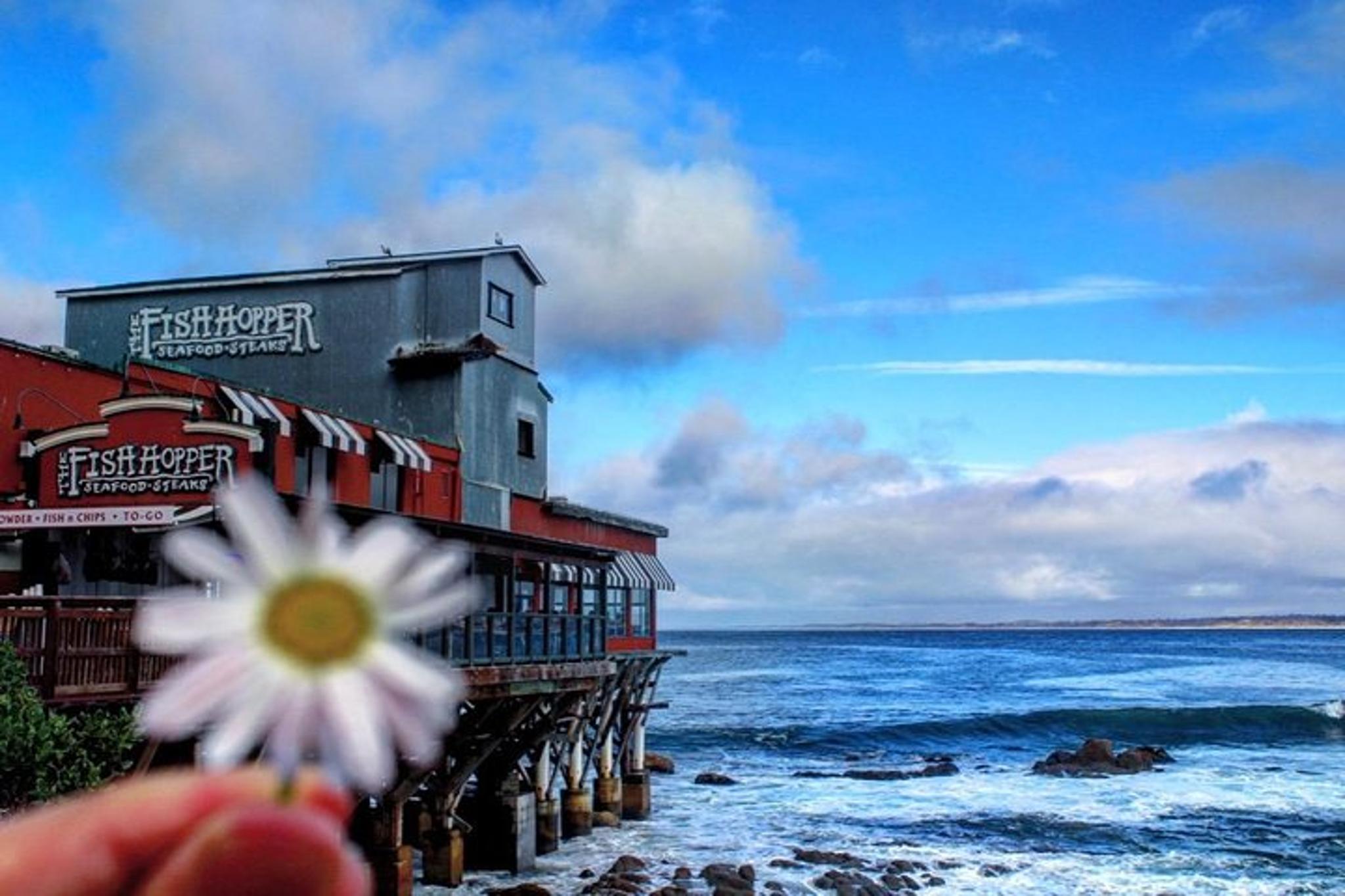 Carmel Monterey Highway 1 Tour - Image 5