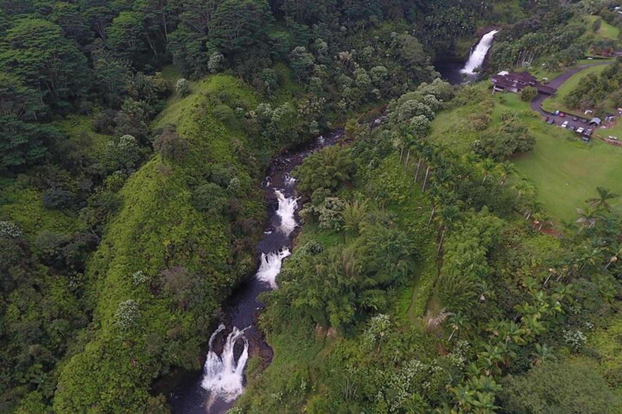 Hilo Kulaniapia Falls Daypass - Image 5