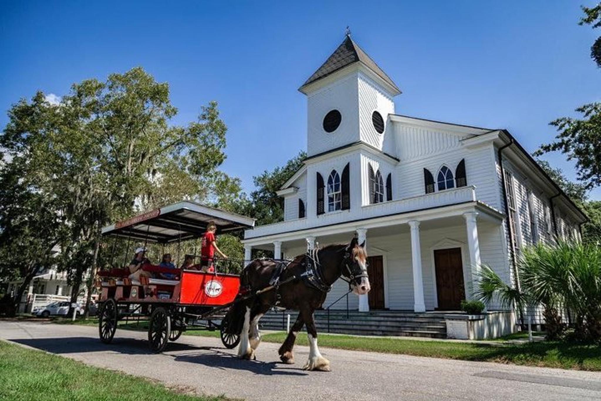 Beaufort Horse & Carriage History Tour - Image 5