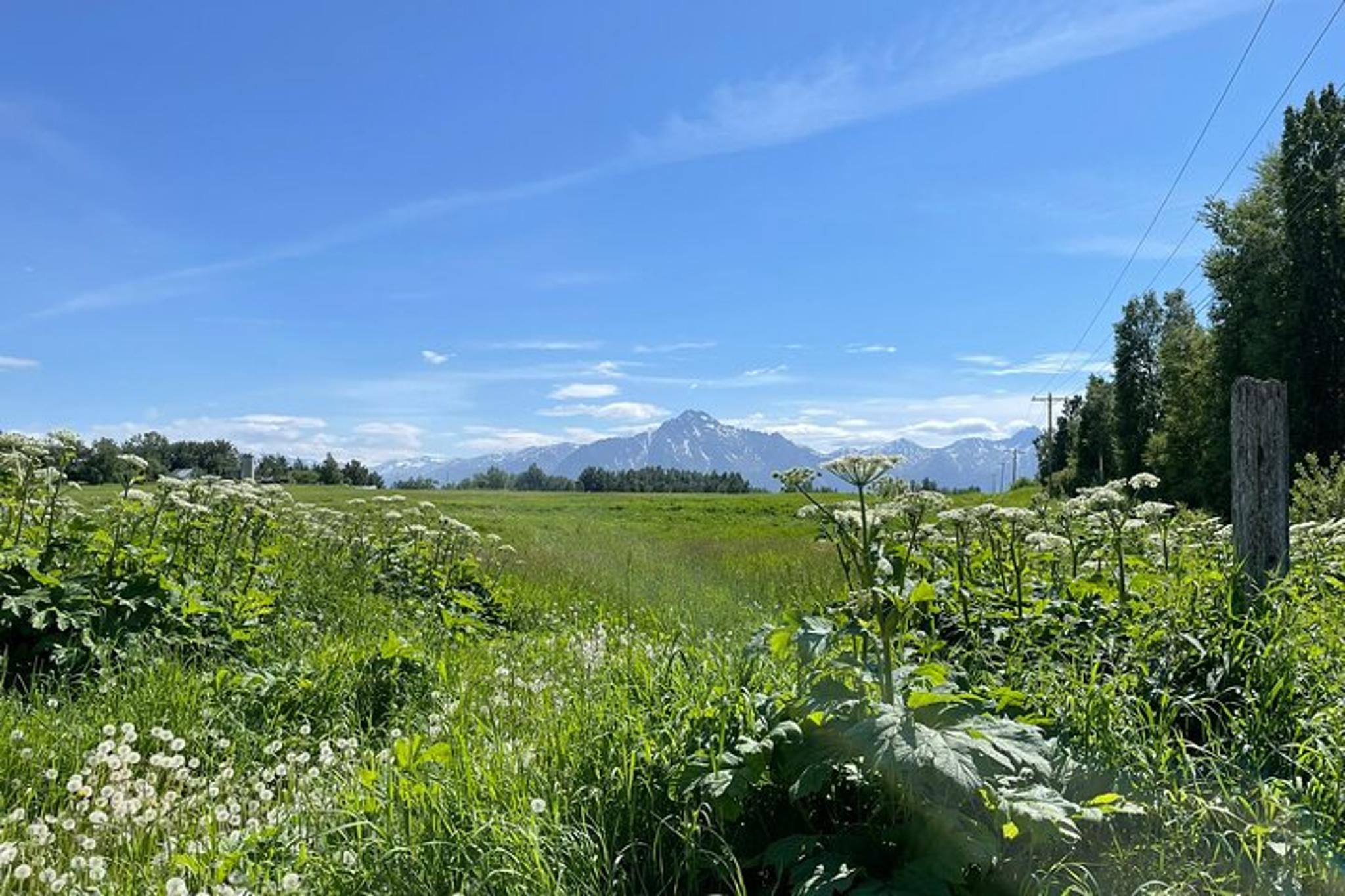 Anchorage Matanuska Valley and Farm Tour 8 hr - Image 6
