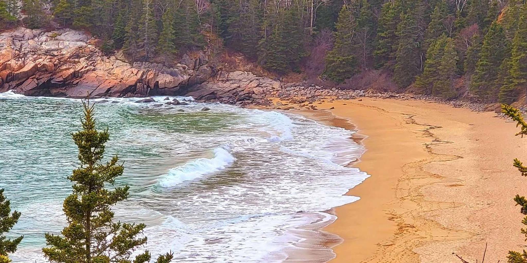 Bar Harbor Acadia National Park Private Tour 3 hr - Image 5