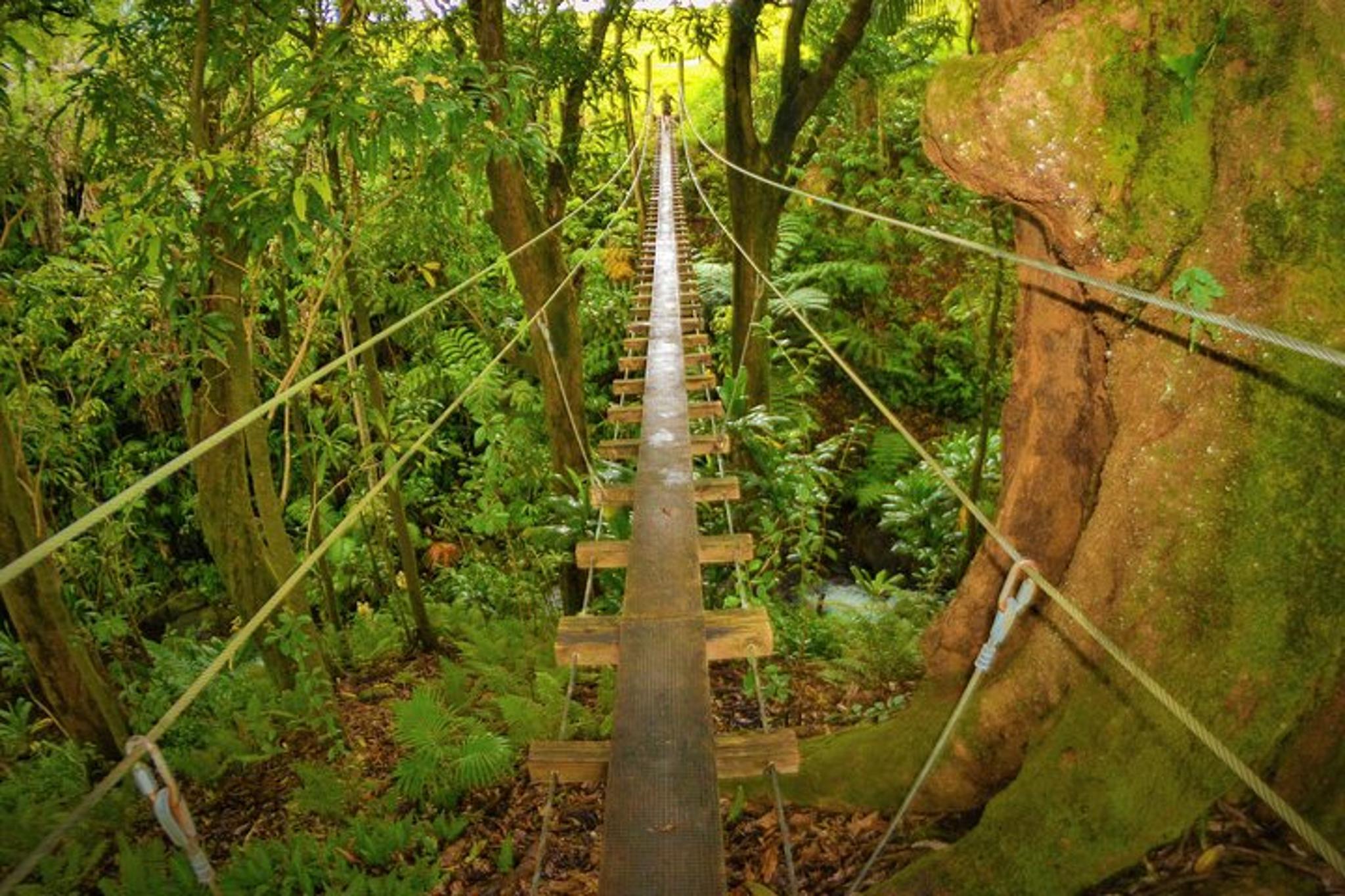 Big Island Zipline Adventure with Waterfall - Image 6
