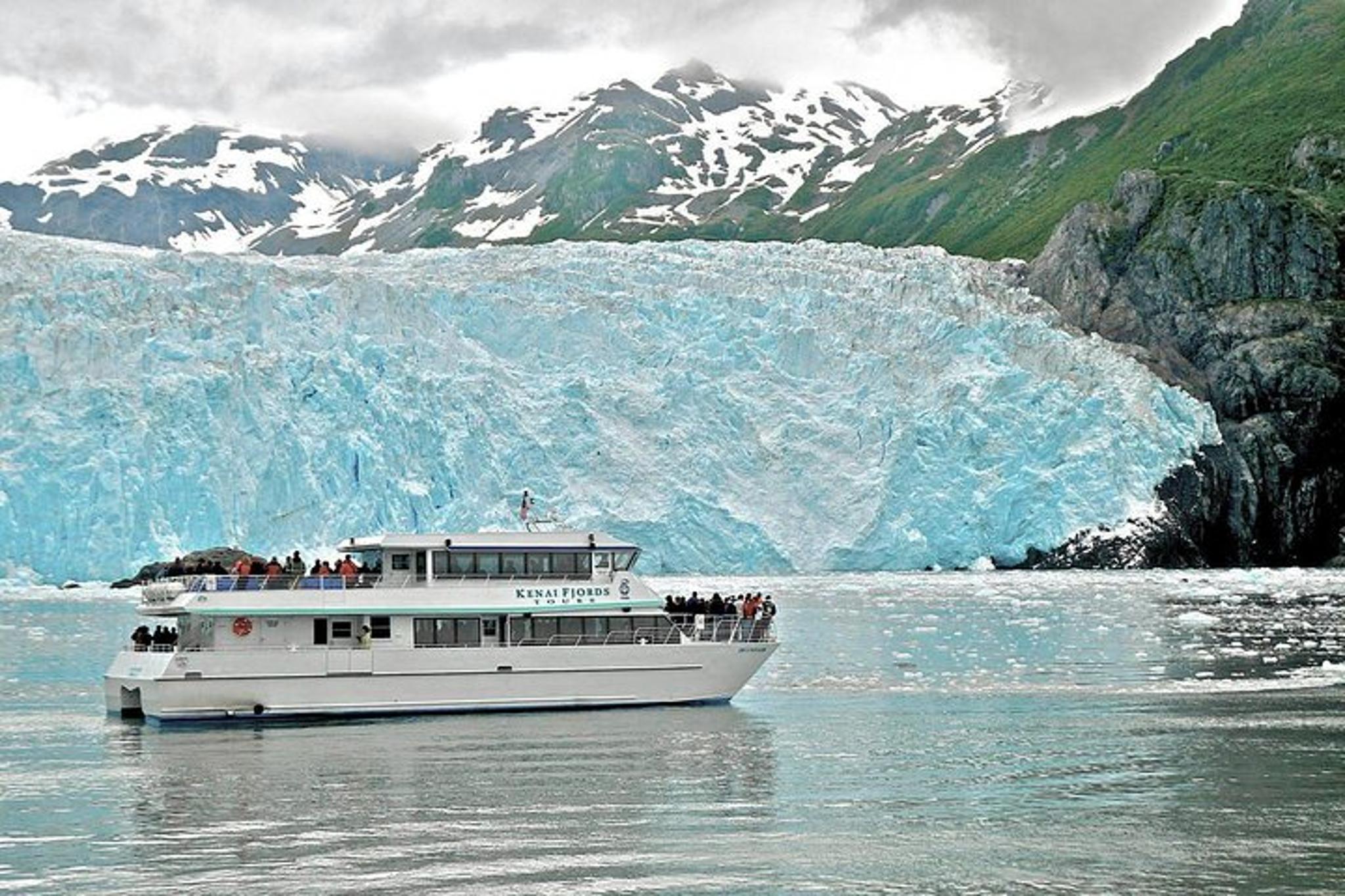 Seward Glacier Dinner Cruise - Image 5