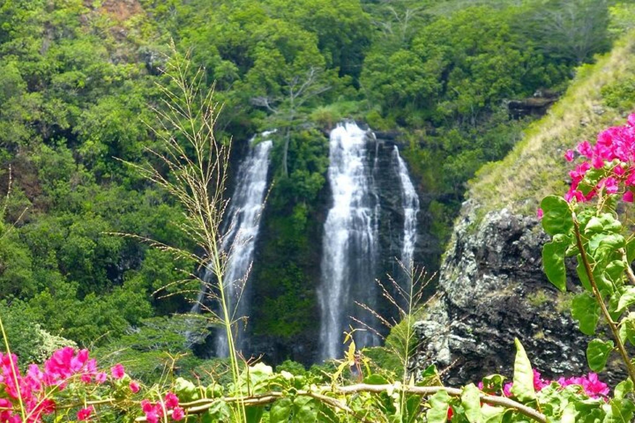 Kauai Waterfalls and Local Grinds Tour - Image 2