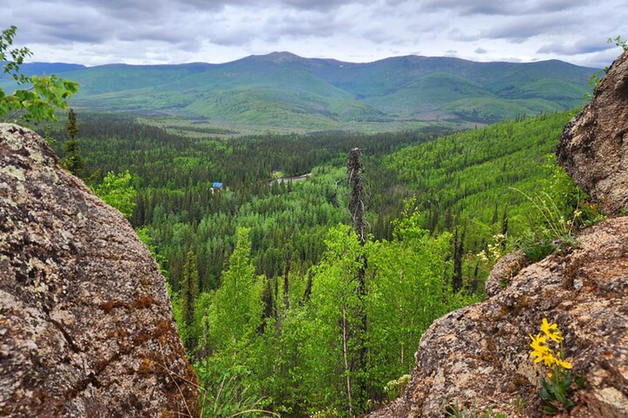 Fairbanks Angel Rocks Hike and Chena Hot Springs Tour - Image 6