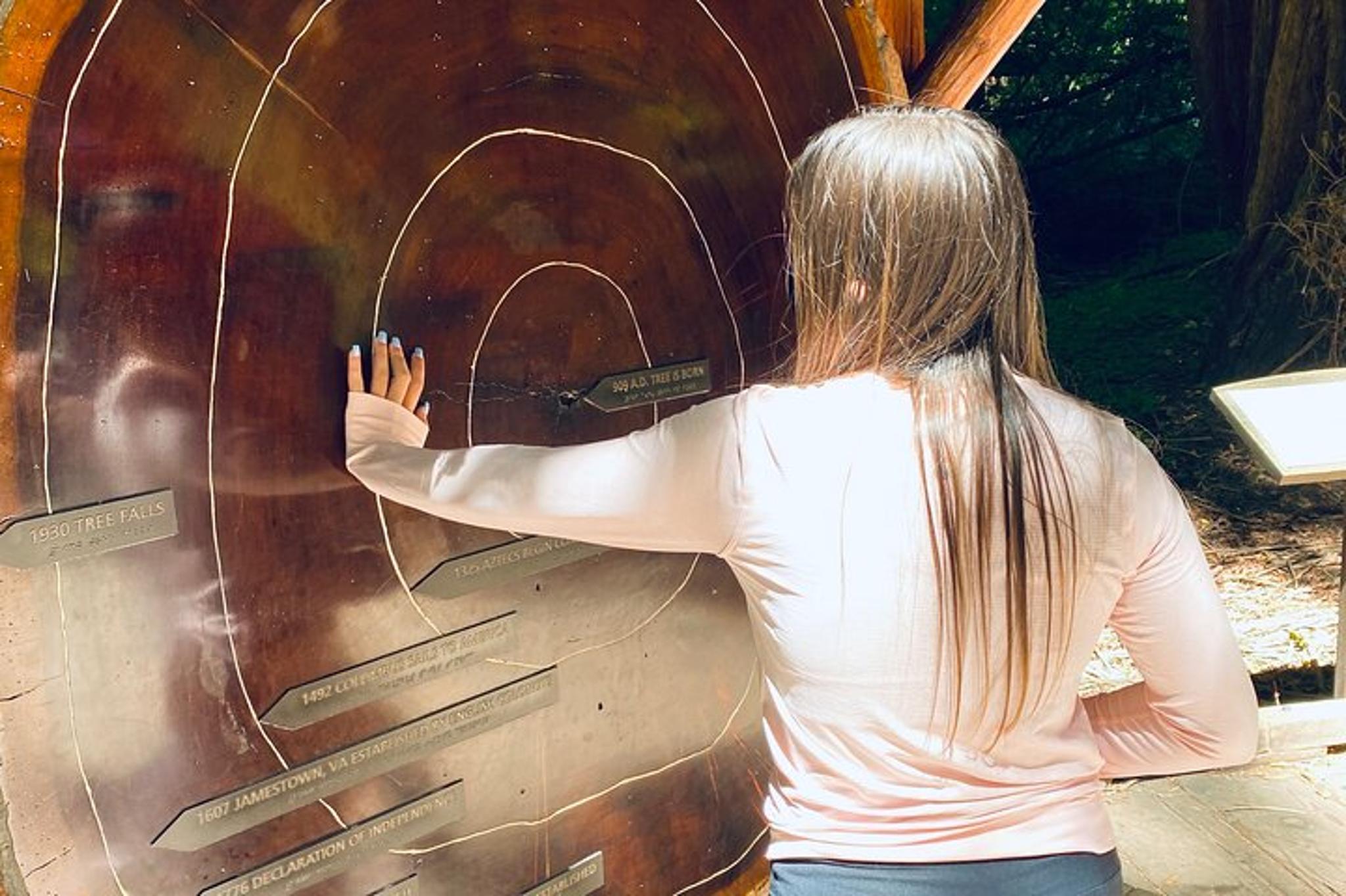 San Francisco Muir Woods Private Tesla Tour - Image 5