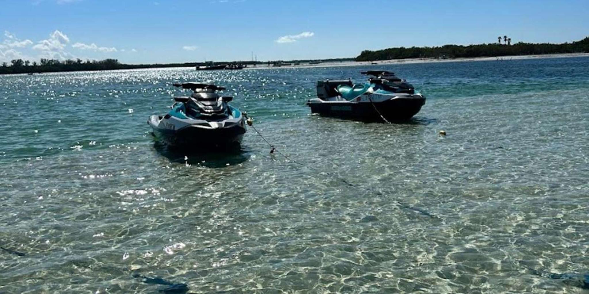 Clearwater Jet Ski Dolphin Tour 1 Hour - Image 3