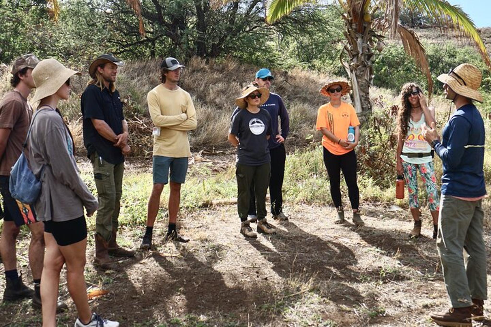 Maui Reforestation and Polynesian Agriculture Tour