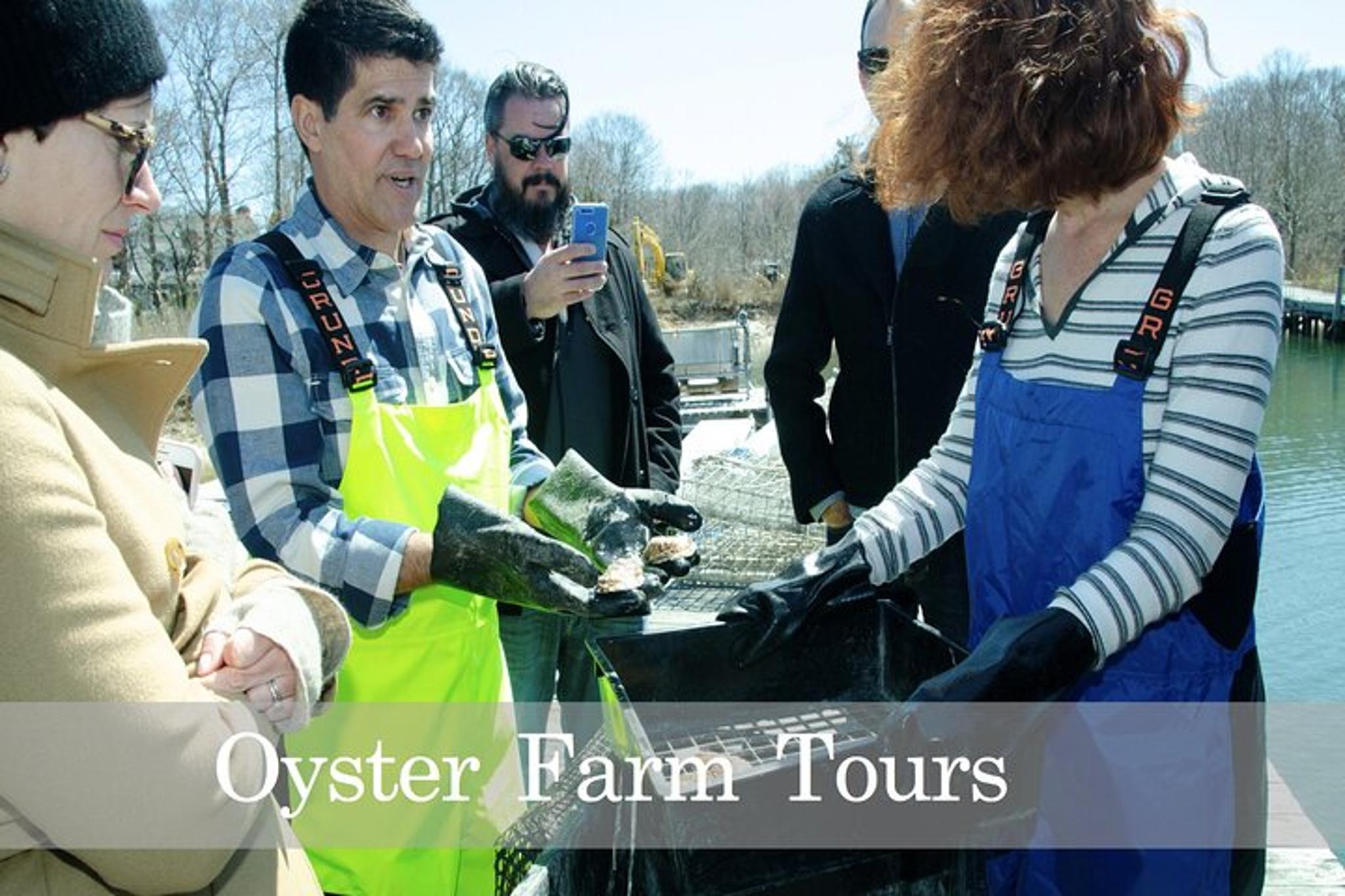 Southold Oyster Farm Tour - Image 4
