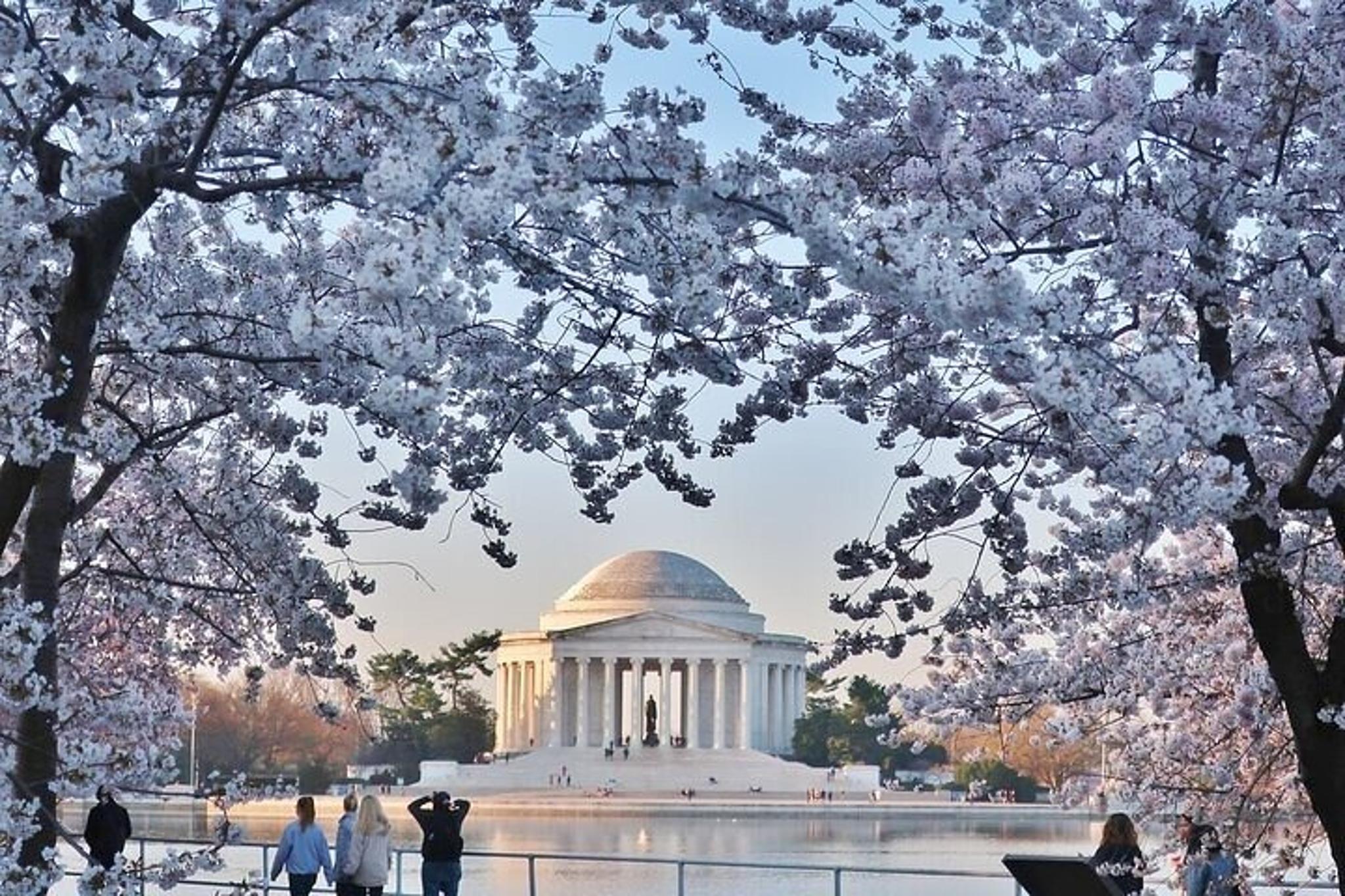 Washington DC Tour from New York City - Image 4