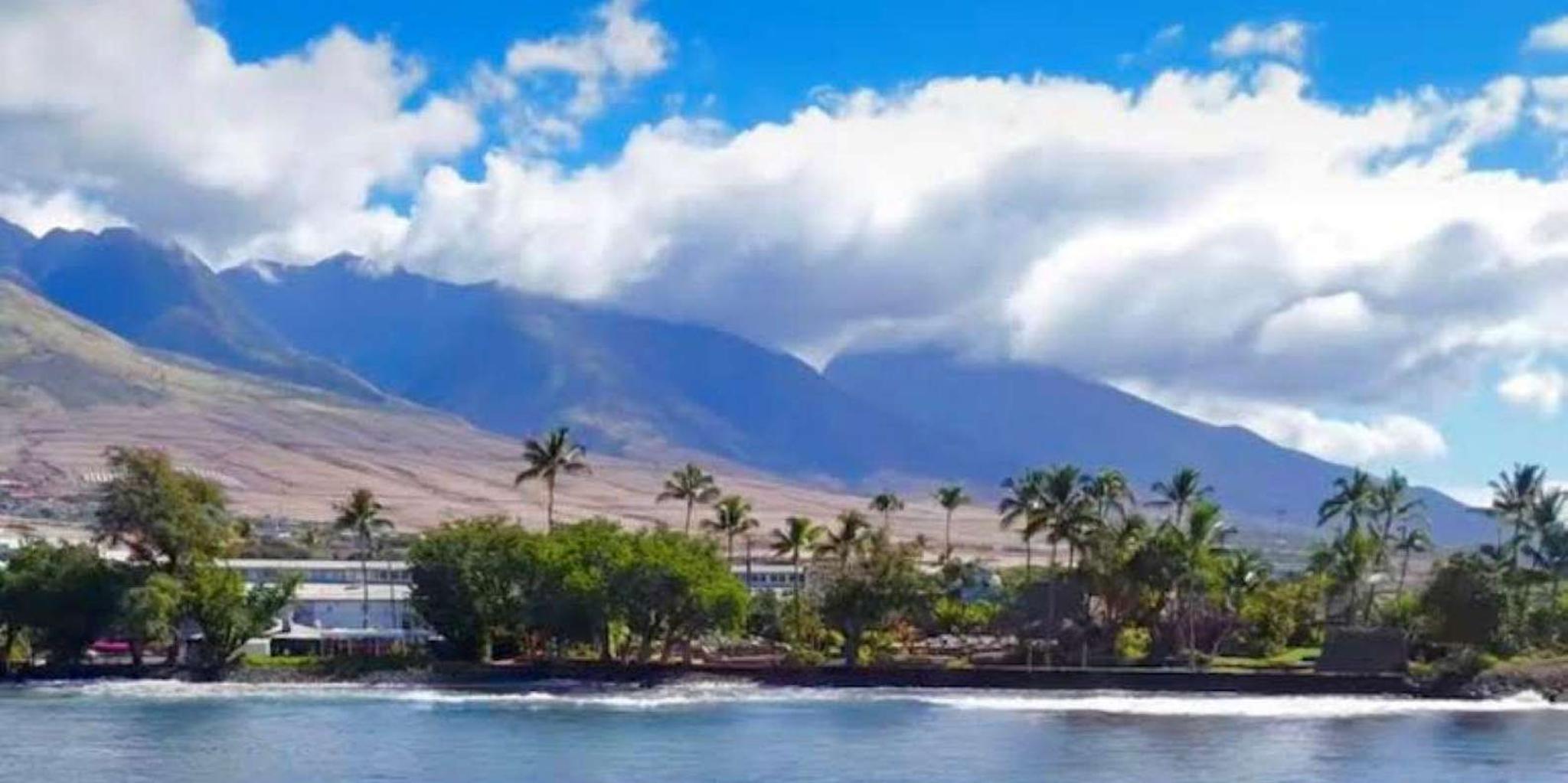 Maui Snorkel and Dolphin Adventure - Image 2