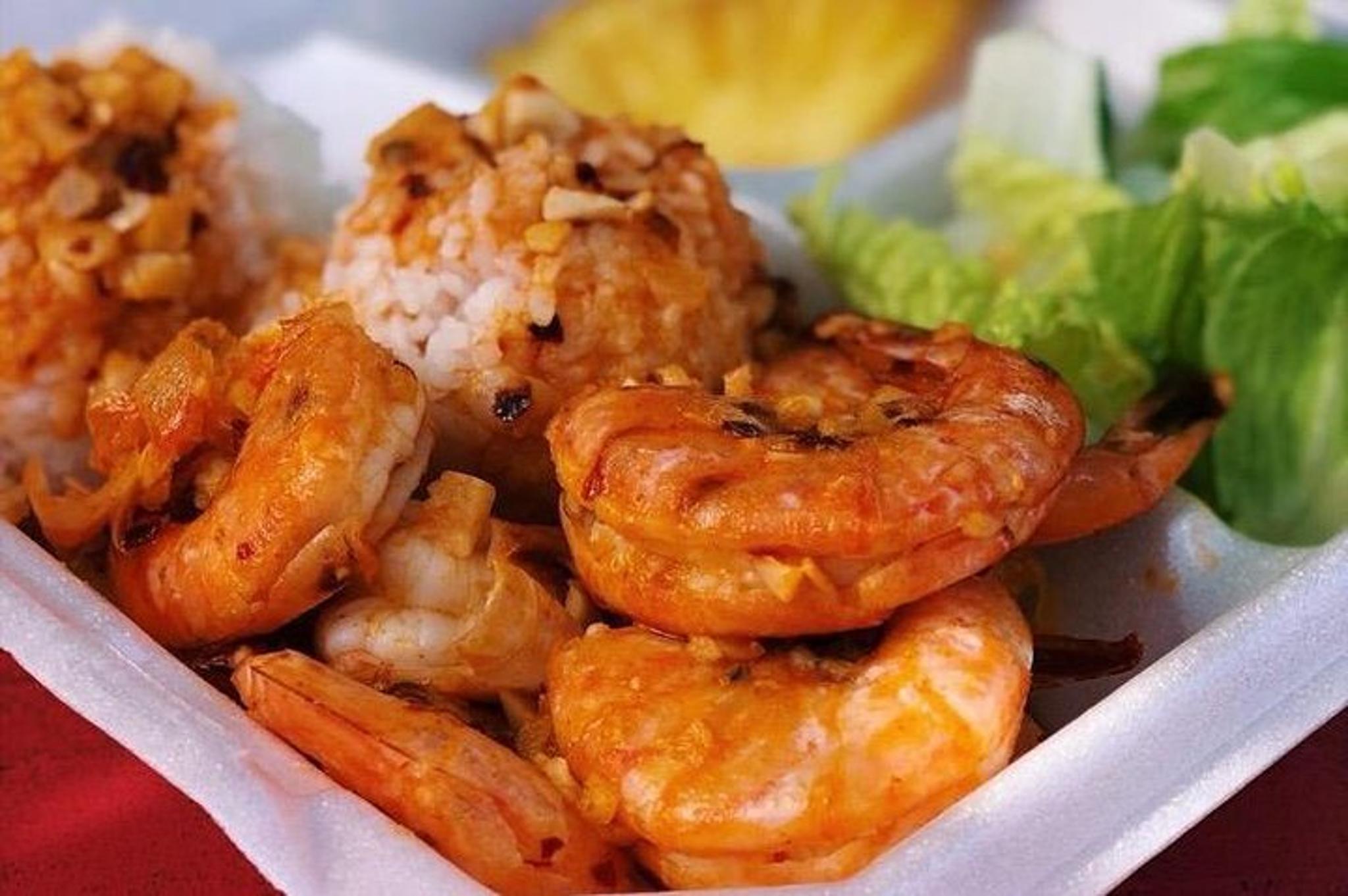 Oahu Circle Island Tour Full Day - Image 4