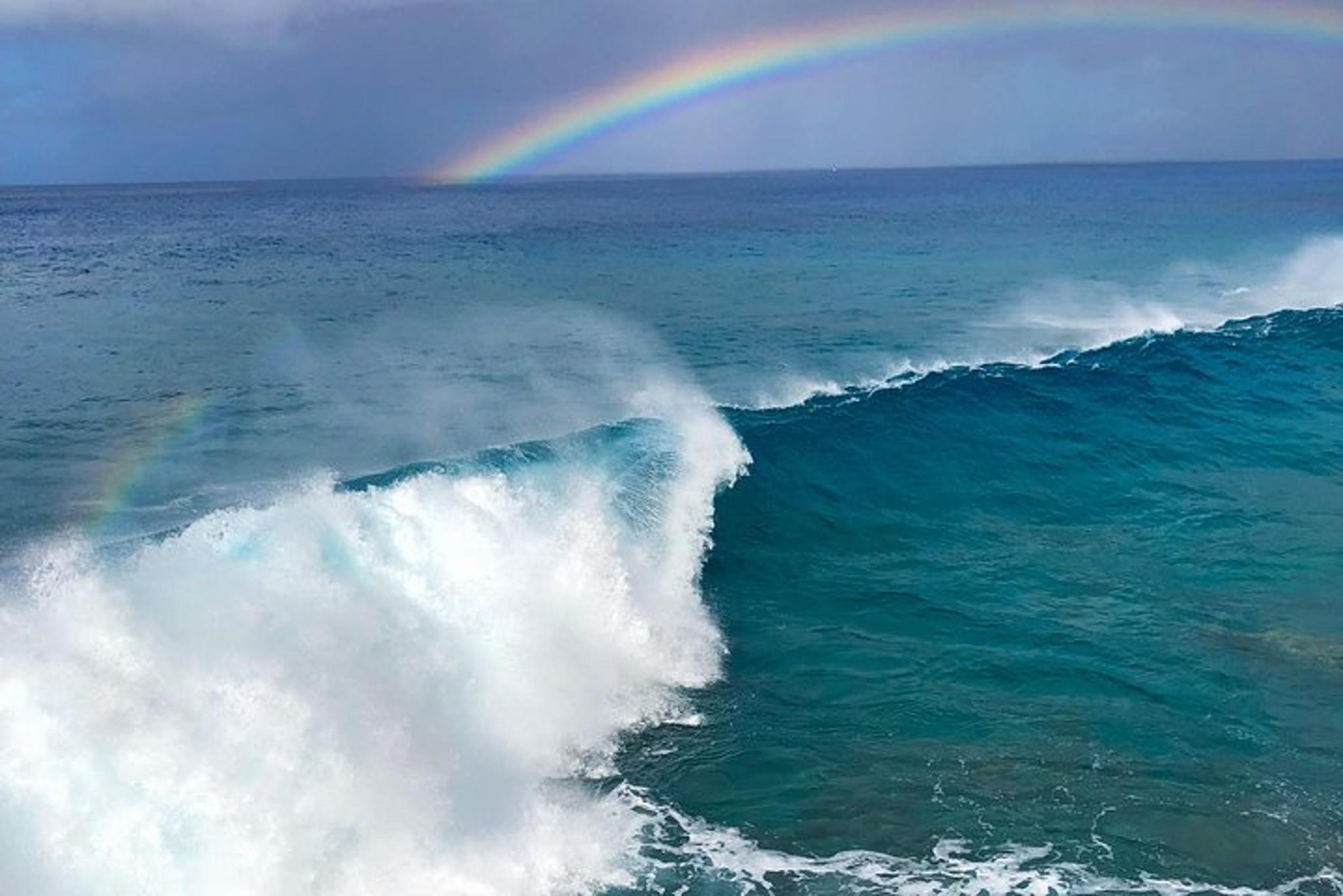 Oahu Customizable Island Tour - Image 4