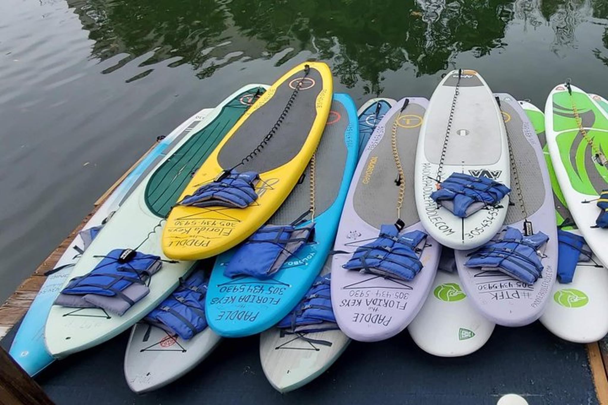Key Largo Mangrove Creek Tandem Kayak Rental - Image 4