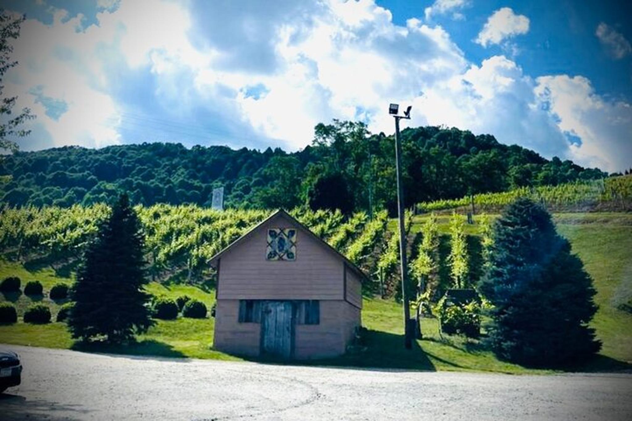 Asheville Wine & Dine Tour at Grandfather Mountain - Image 3
