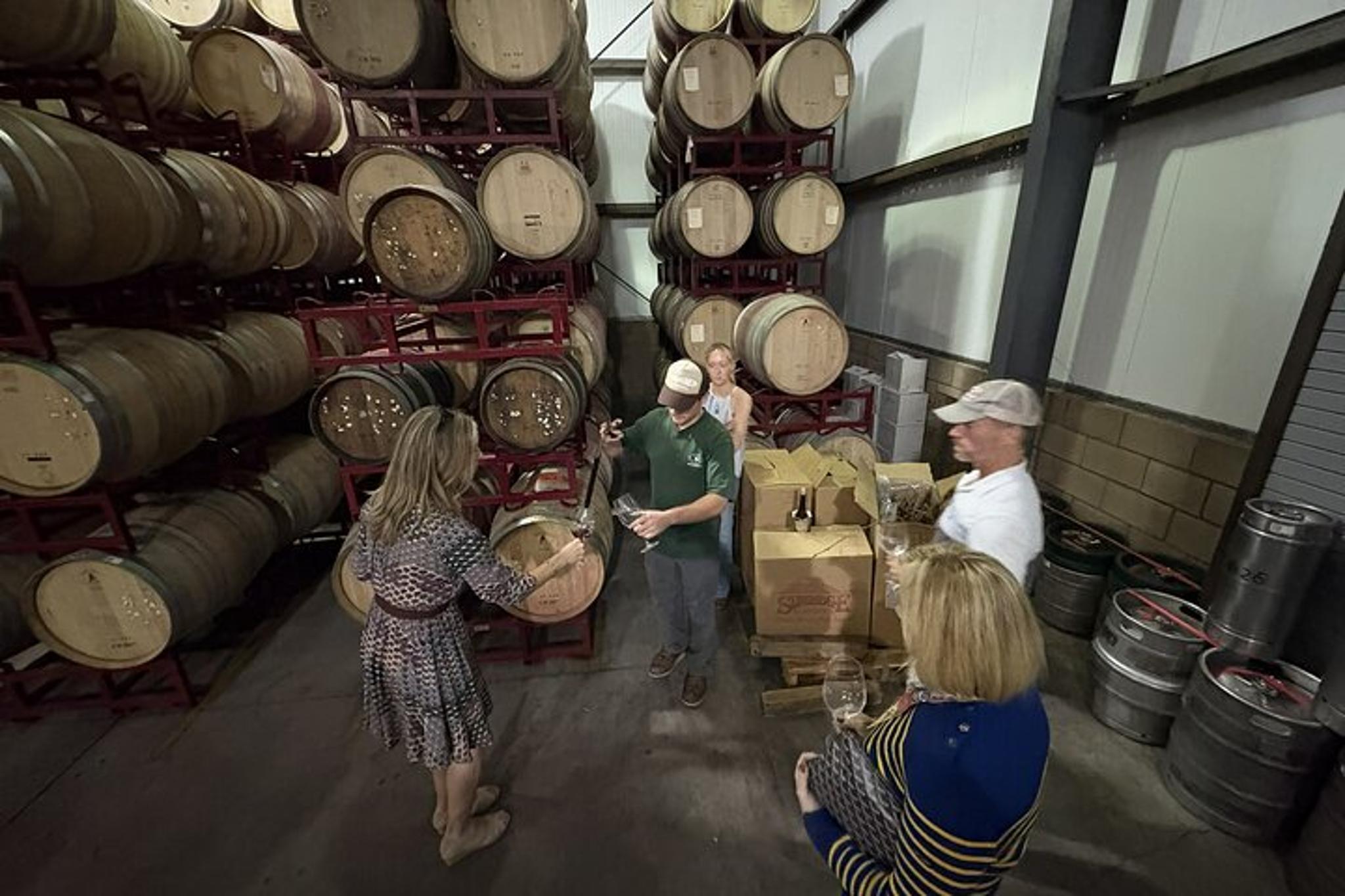 Solvang Wine Tour by Car - Image 4