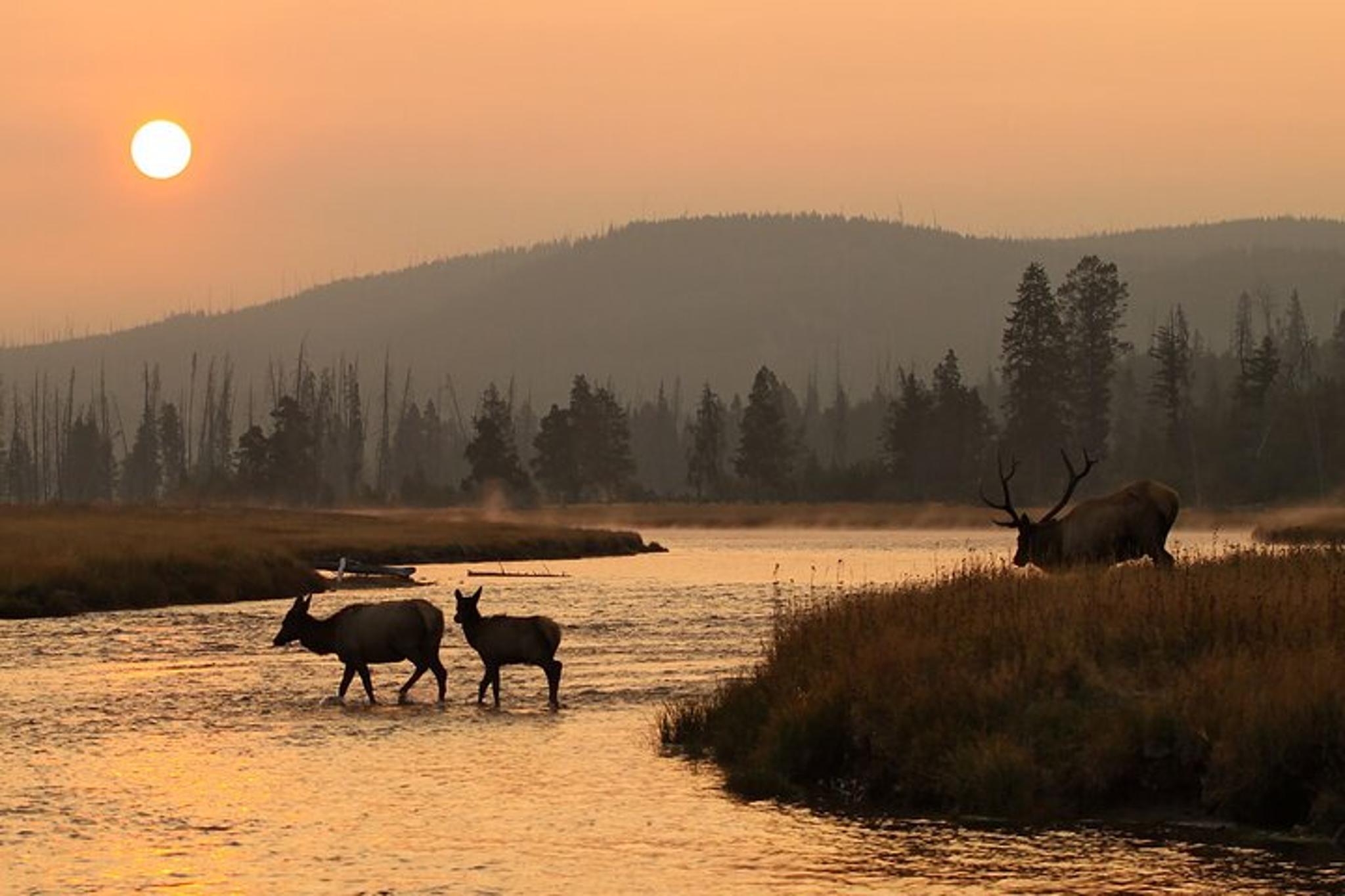 Grand Teton National Park Sunset Tour - Image 3