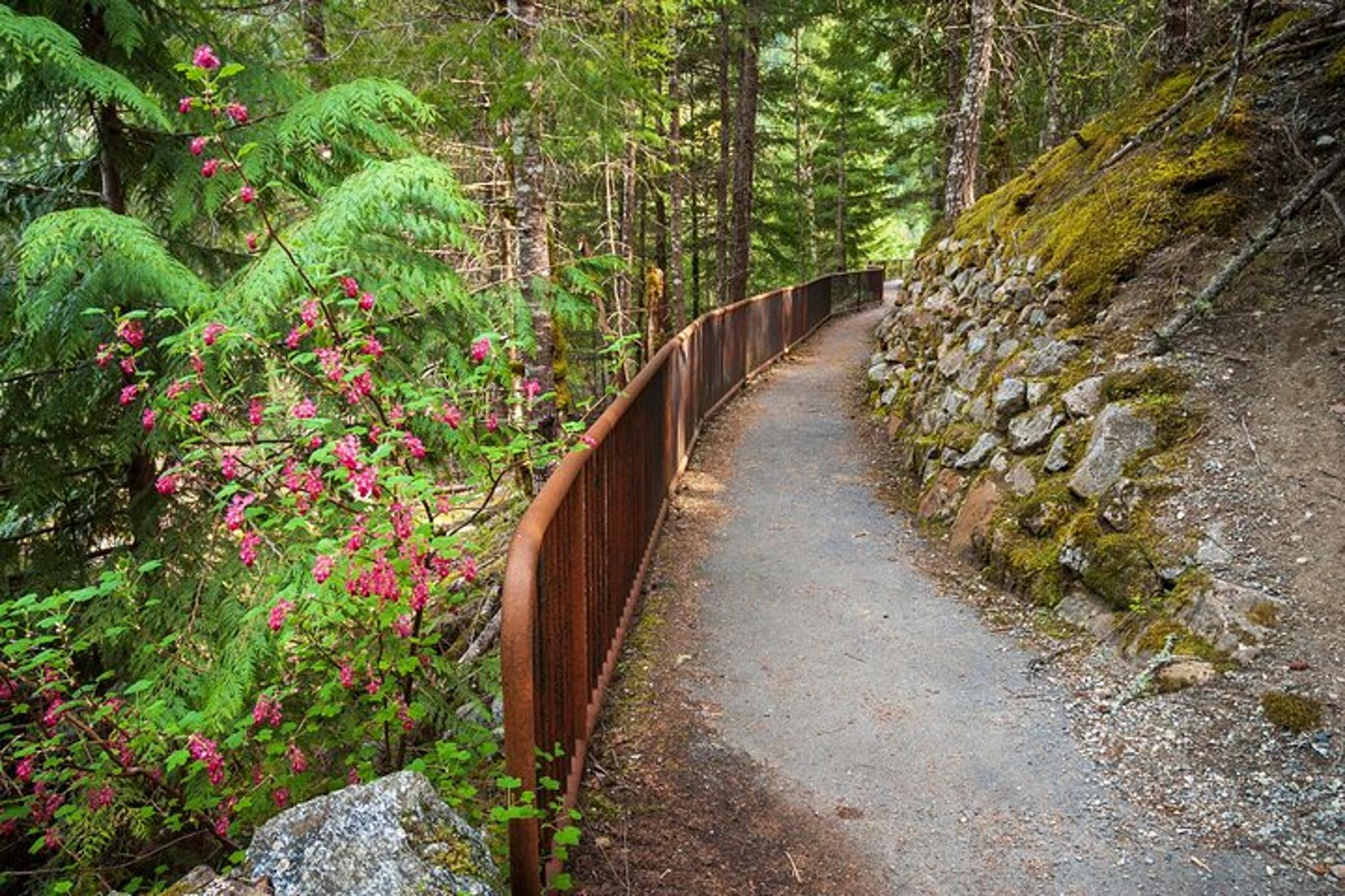 North Cascades Self-Guided Audio Driving Tour - Image 3