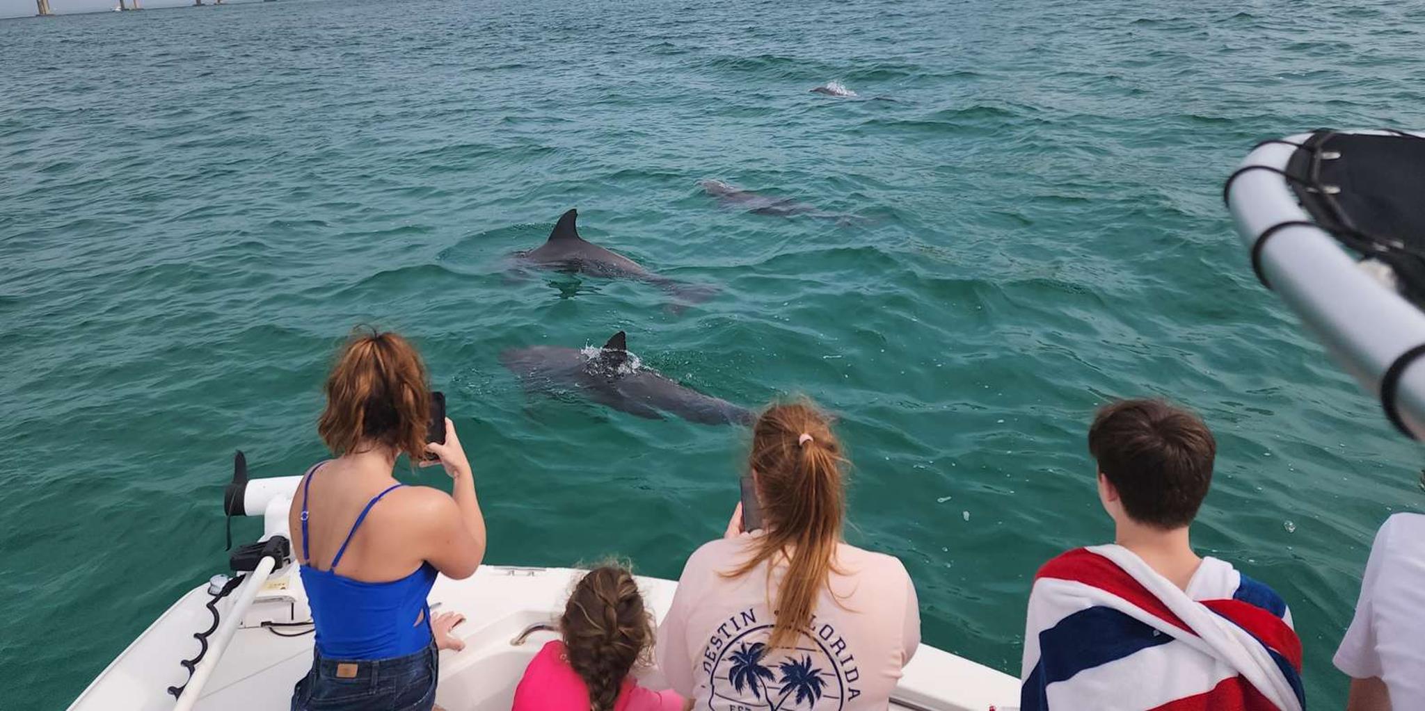 Destin Dolphin Cruise Private Morning 2 hr - Image 4