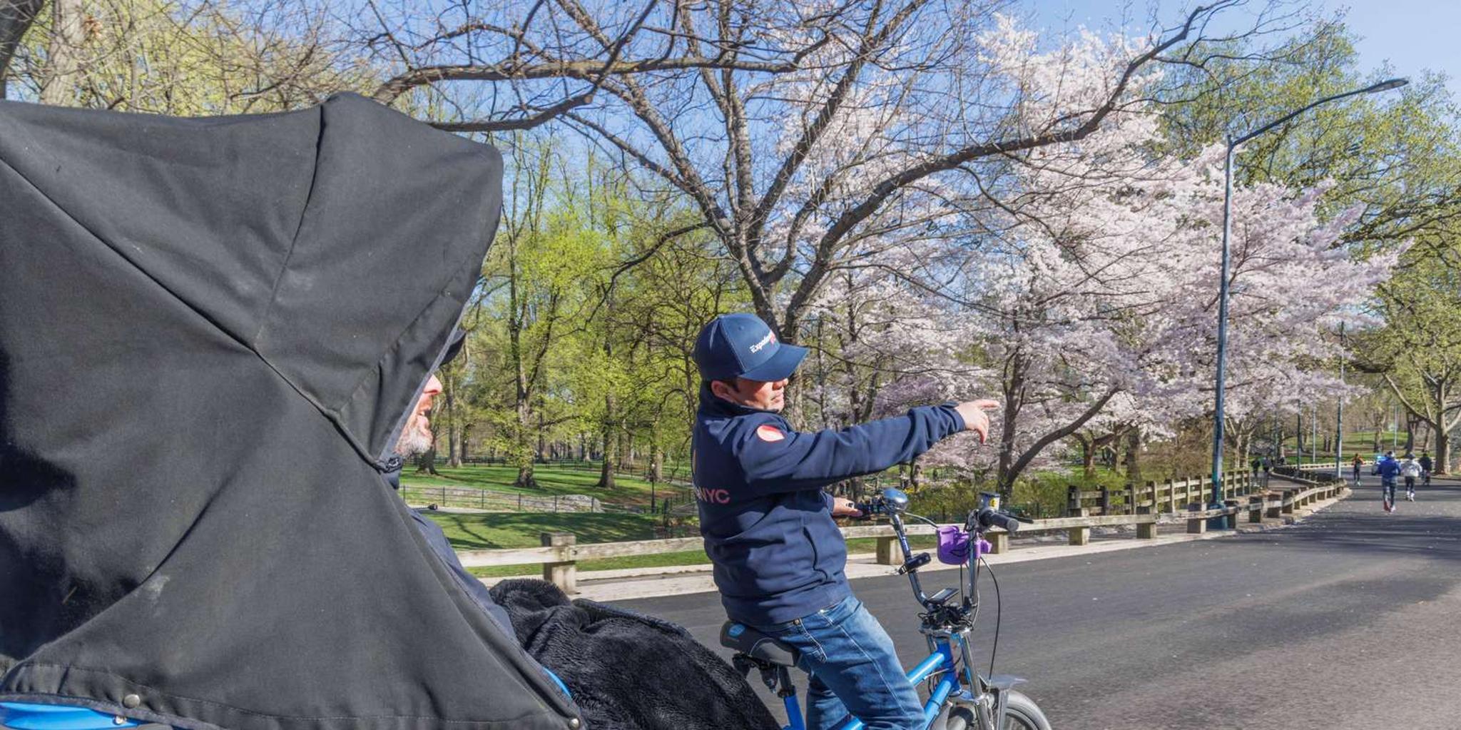 New York Central Park Pedicab Tour with Optional Museum Entry - Image 3