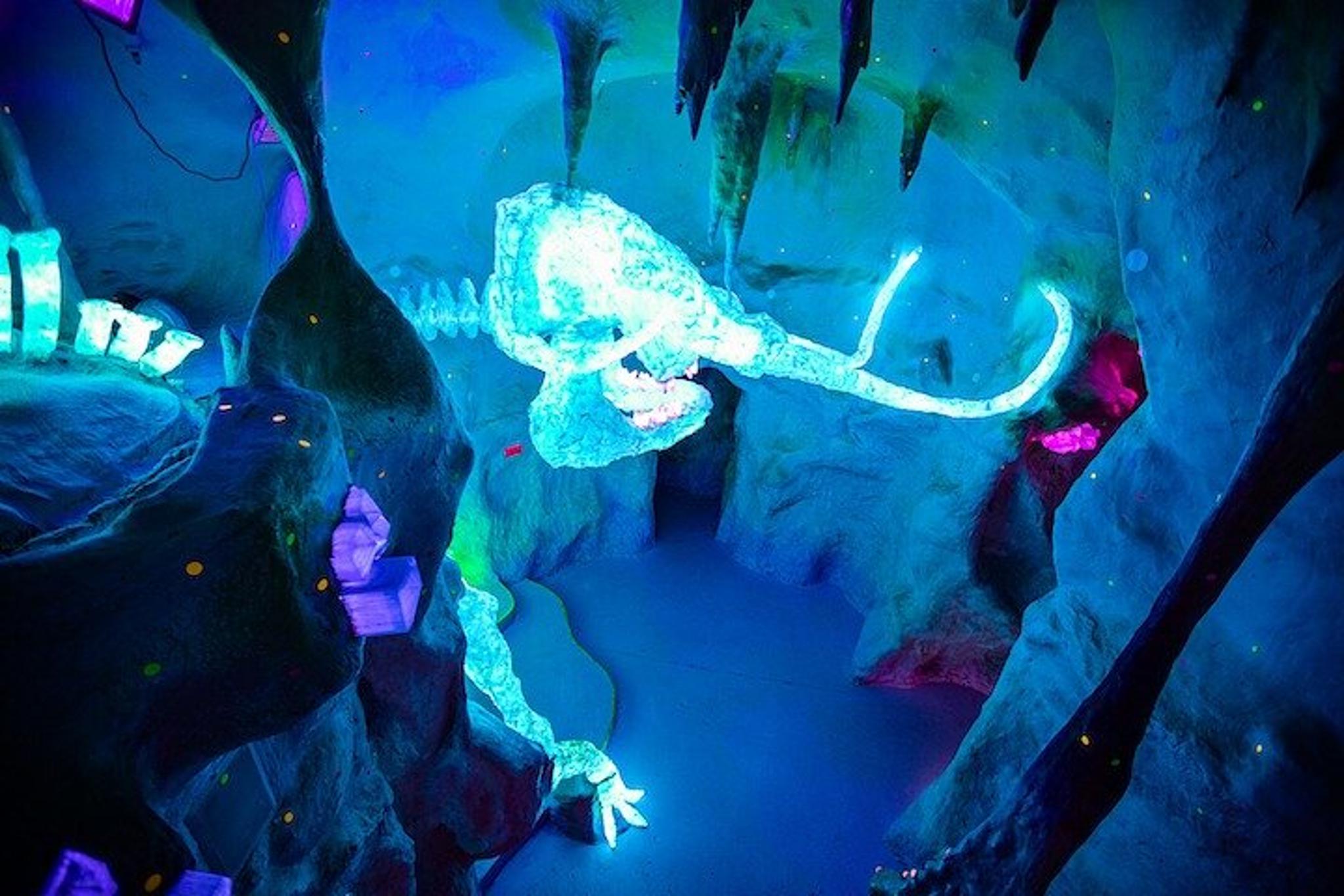 Santa Fe Art Experience at Meow Wolf - Image 2