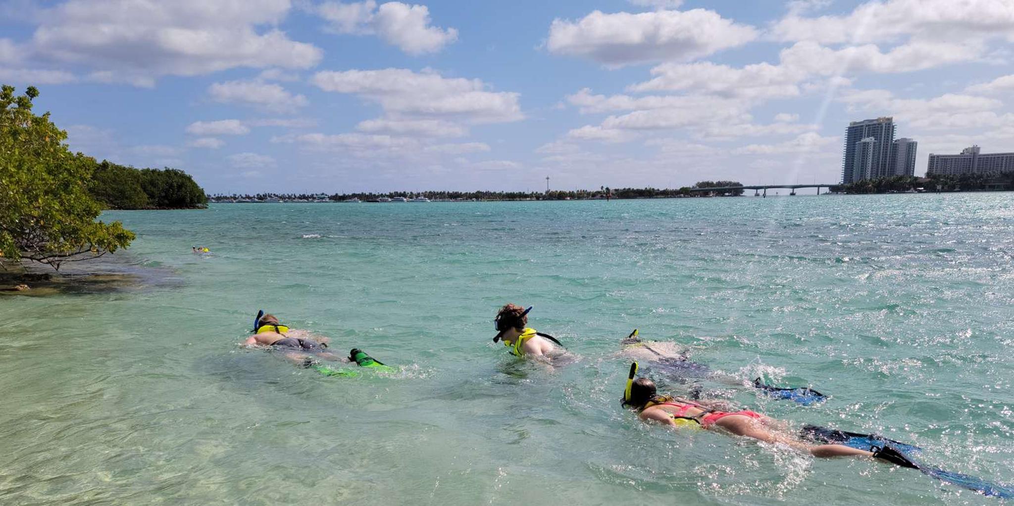 Miami Island Snorkeling by SUP or Kayak