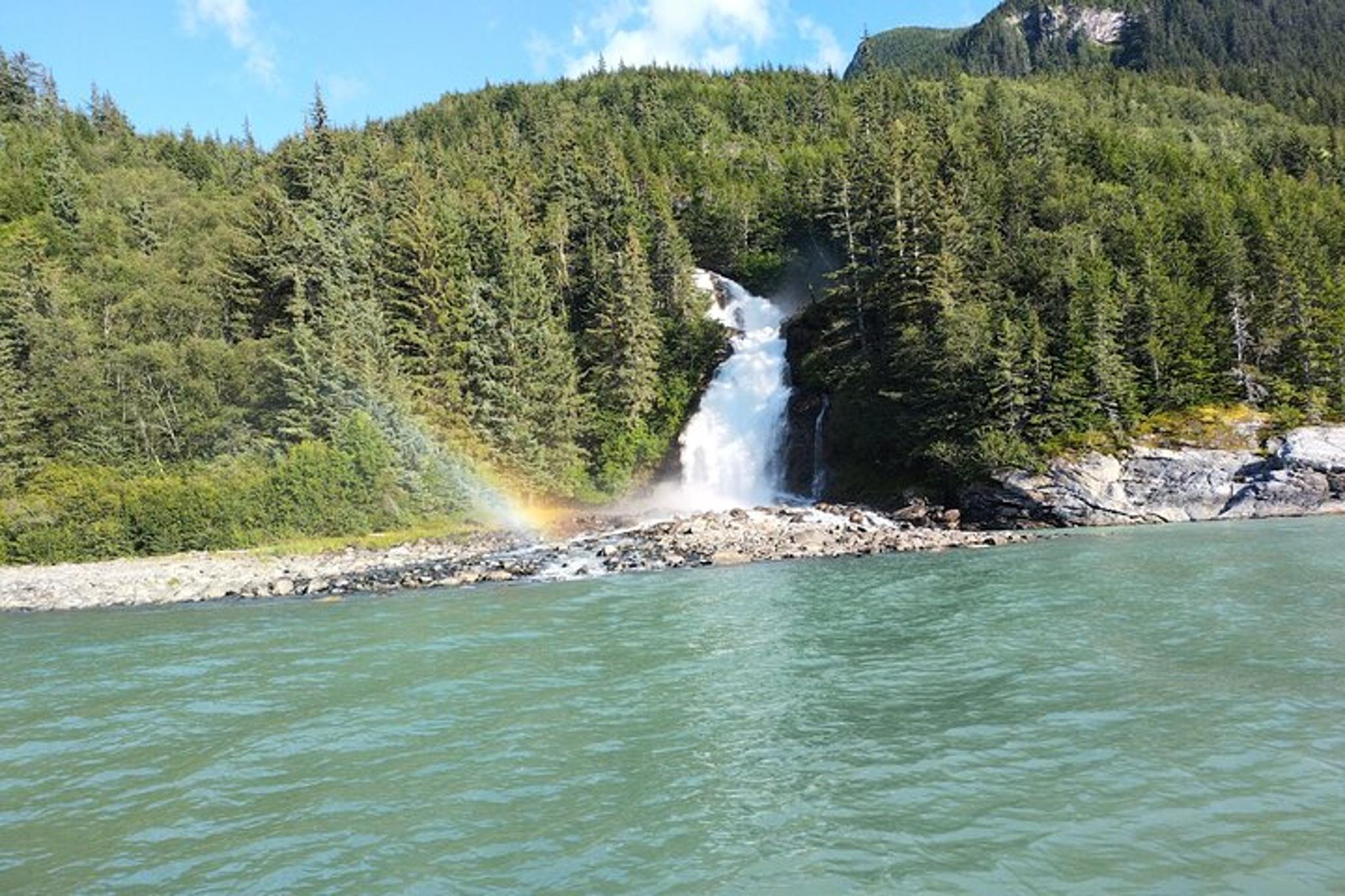 Skagway Scenic Wildlife Cruise - Image 2