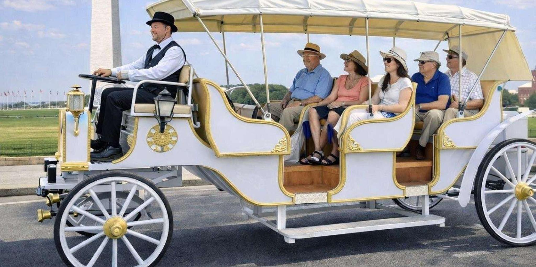 Washington DC Monuments Carriage Tour - Image 1