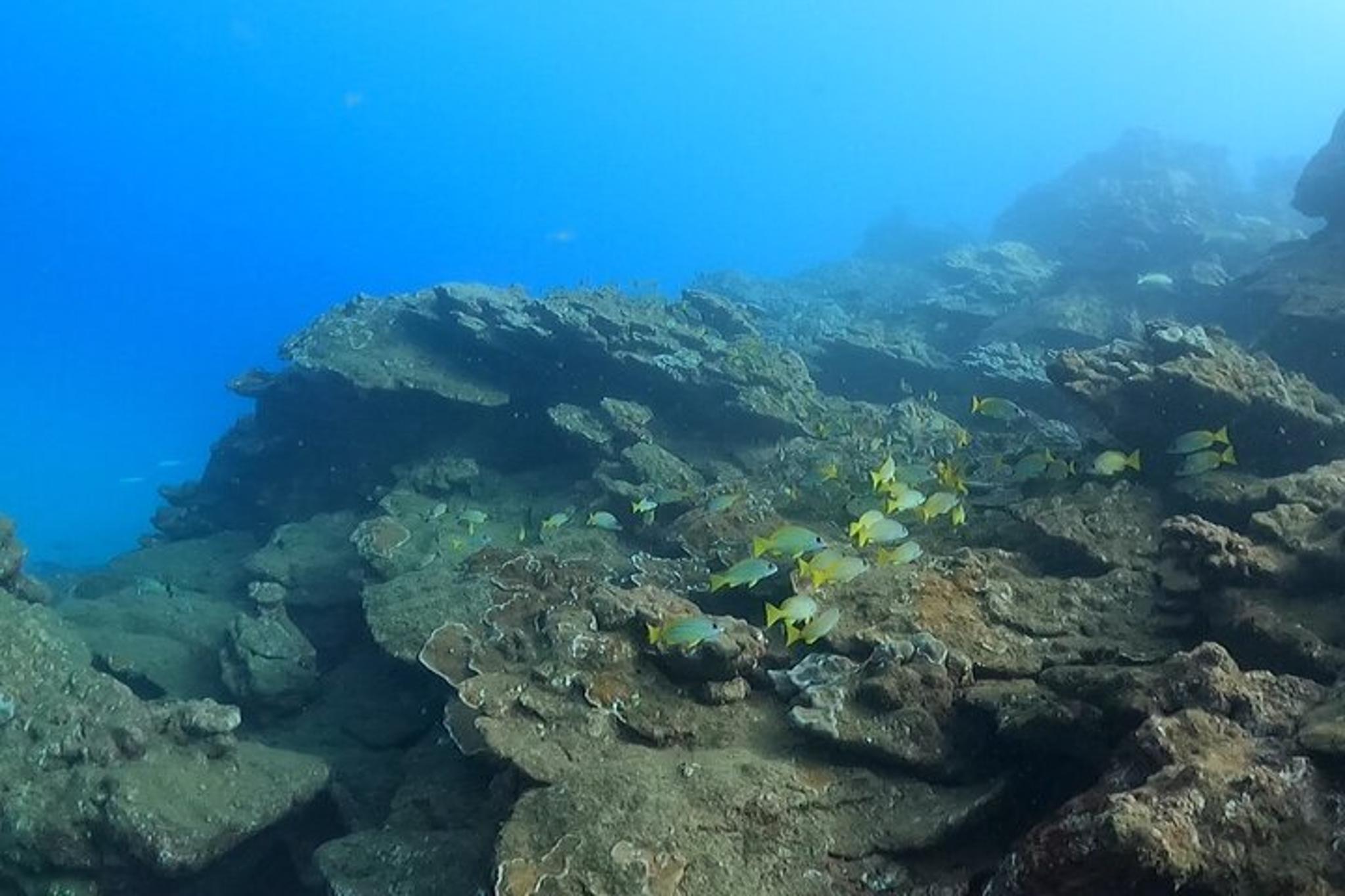 Kauai Snorkeling Adventure 2 hr - Image 6