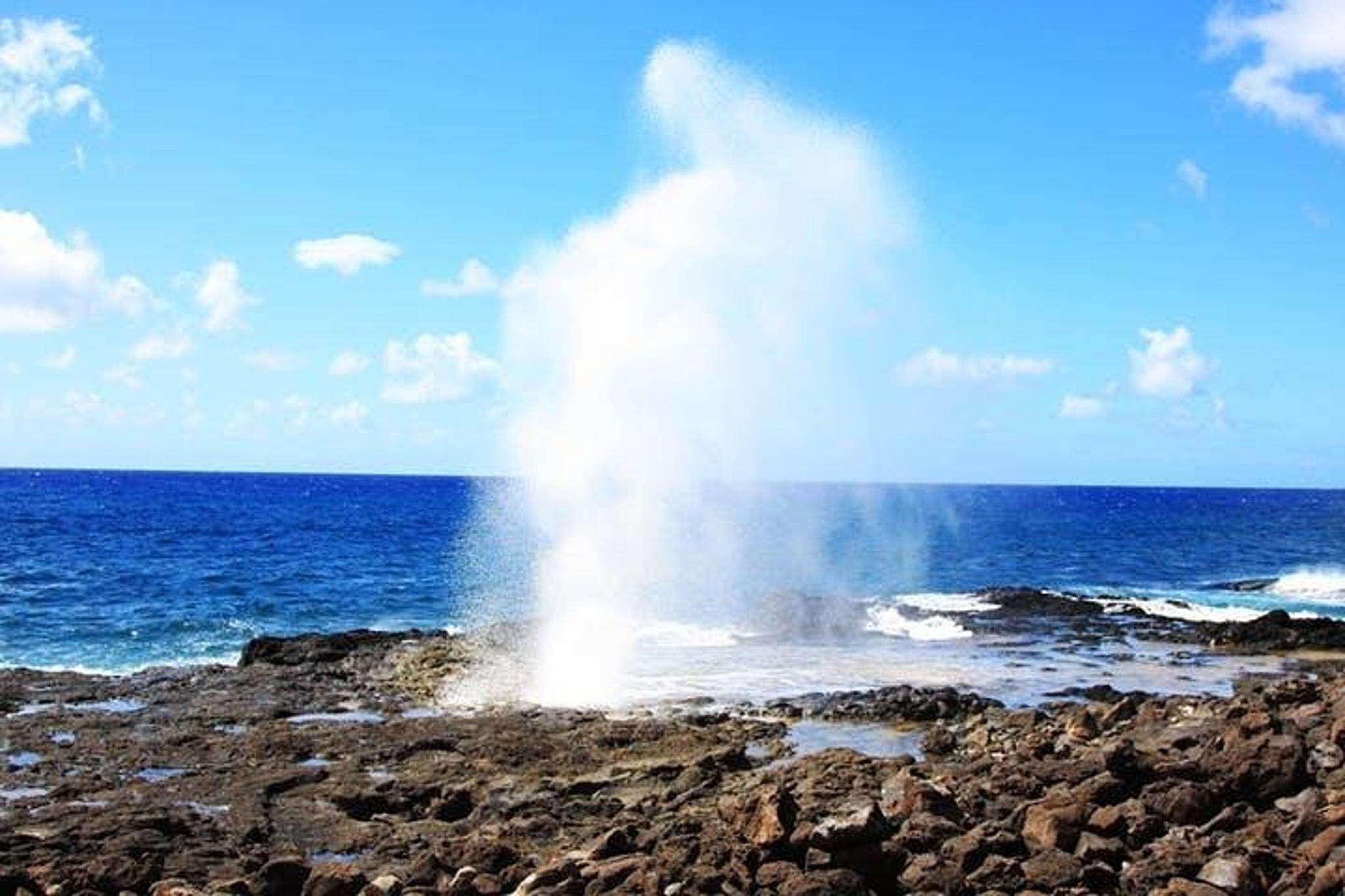 Kauai Shore Excursion to Waimea Canyon - Image 3