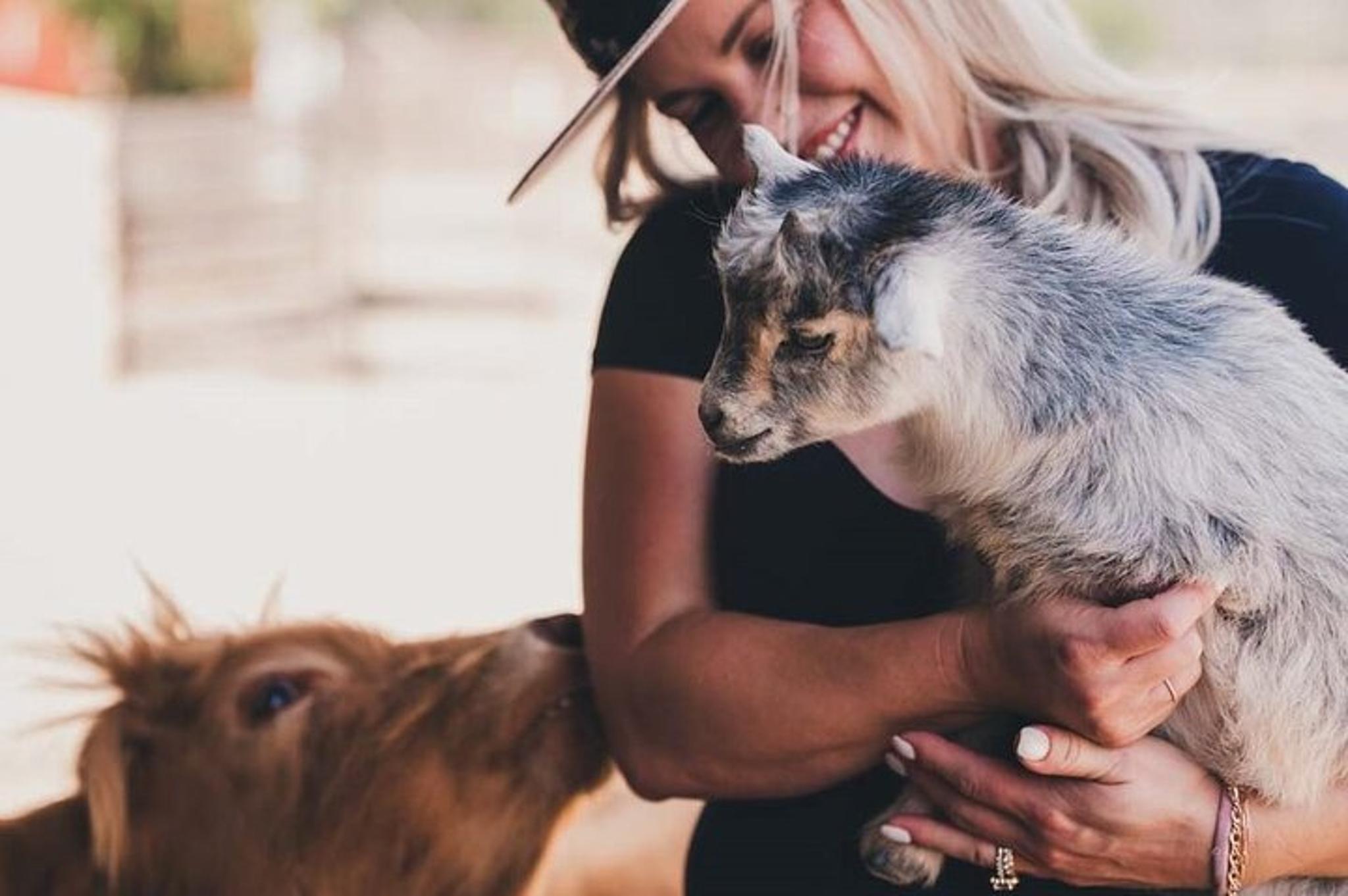 Fredericksburg Wine and Culinary Tour - Image 1