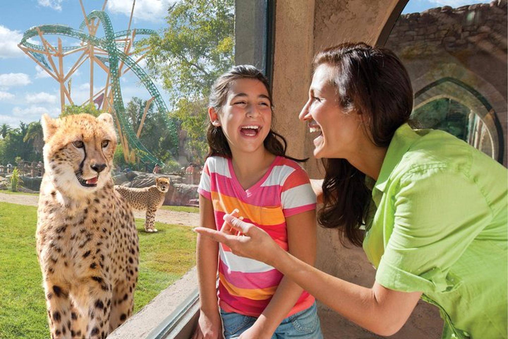 Tampa Bay Busch Gardens Admission Ticket - Image 5