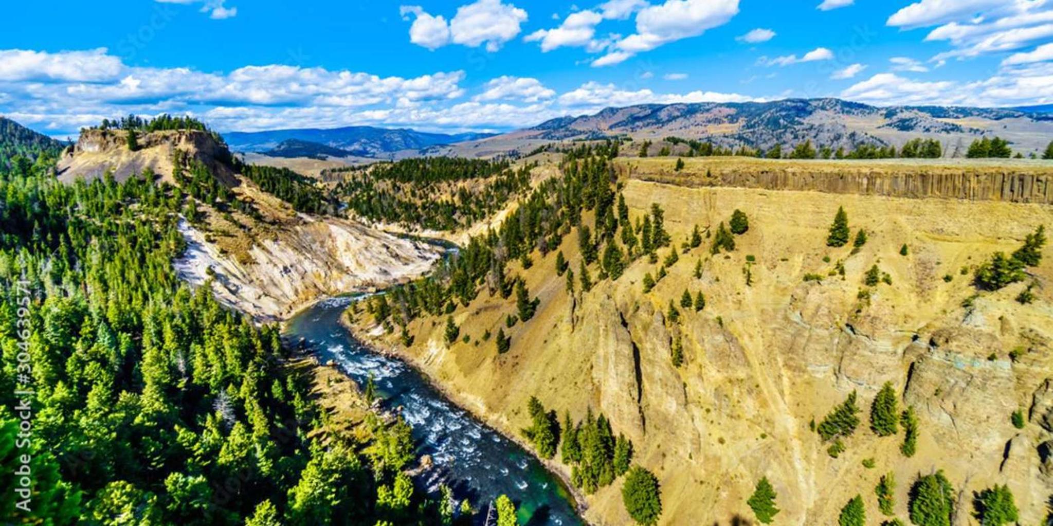Bozeman Yellowstone Day Tour Upper Loop - Image 3