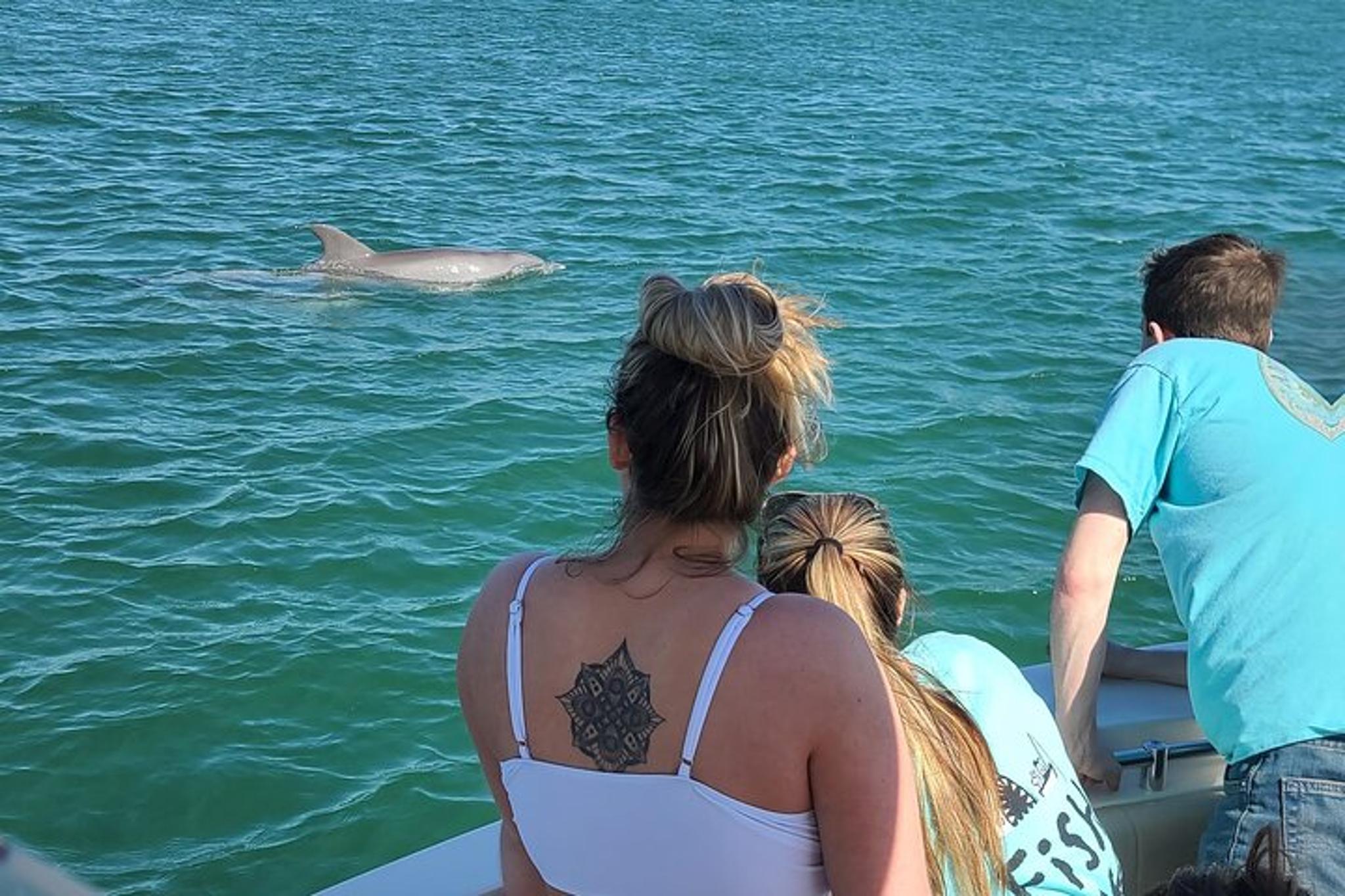 Orange Beach Dolphin Sightseeing Excursion 1 hr - Image 6