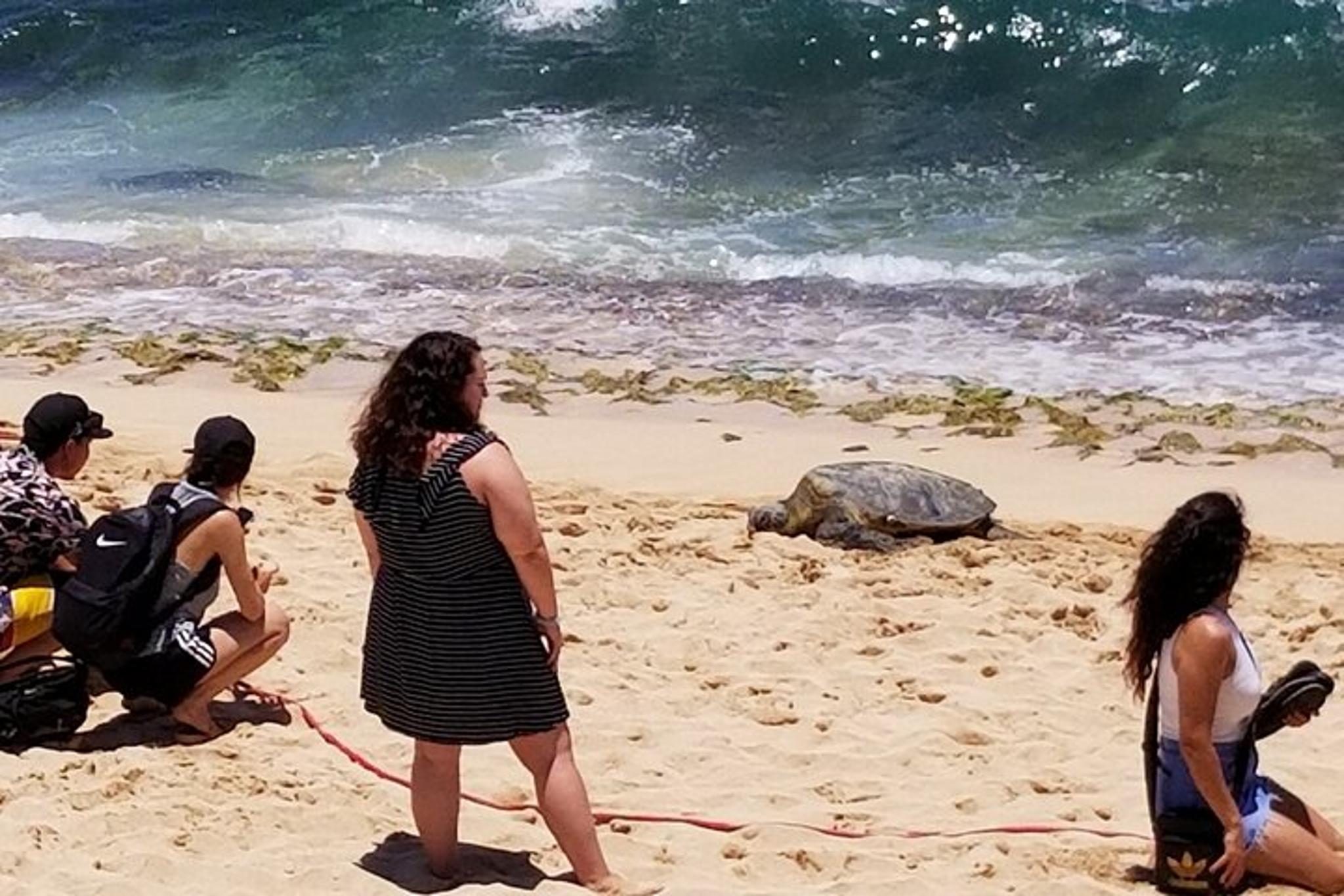 Honolulu Food and Distillery Circle Island Tour - Image 4