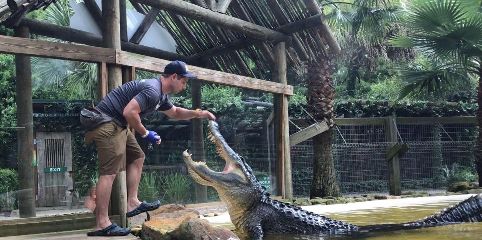 Orlando Everglades Airboat Tour and Wildlife Park - Image 3