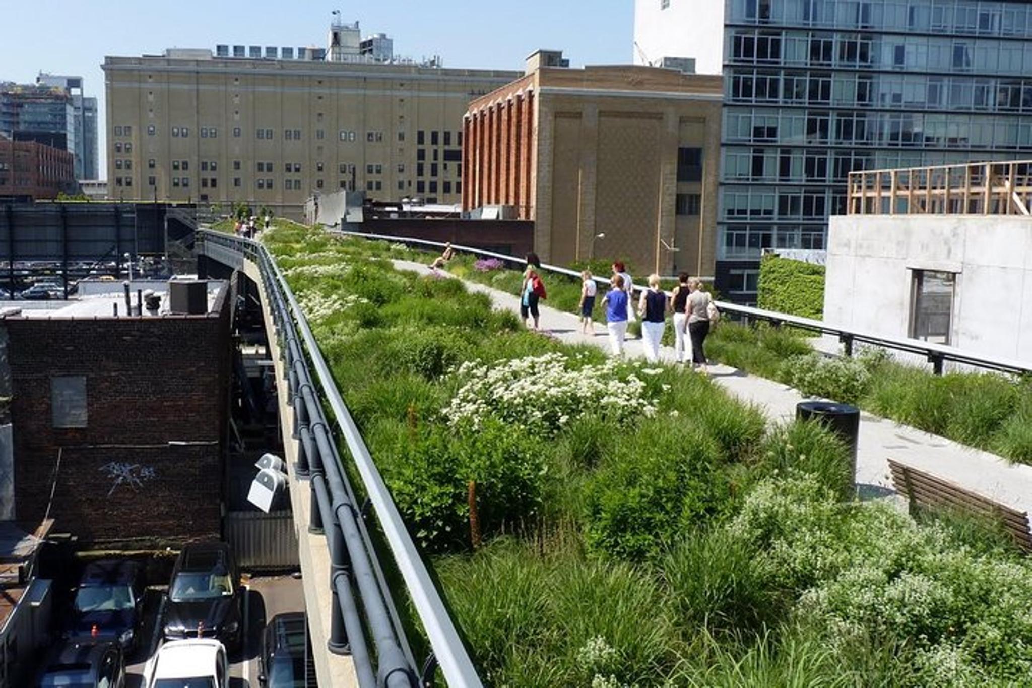 New York High Line and Hudson Yards Walking Tour