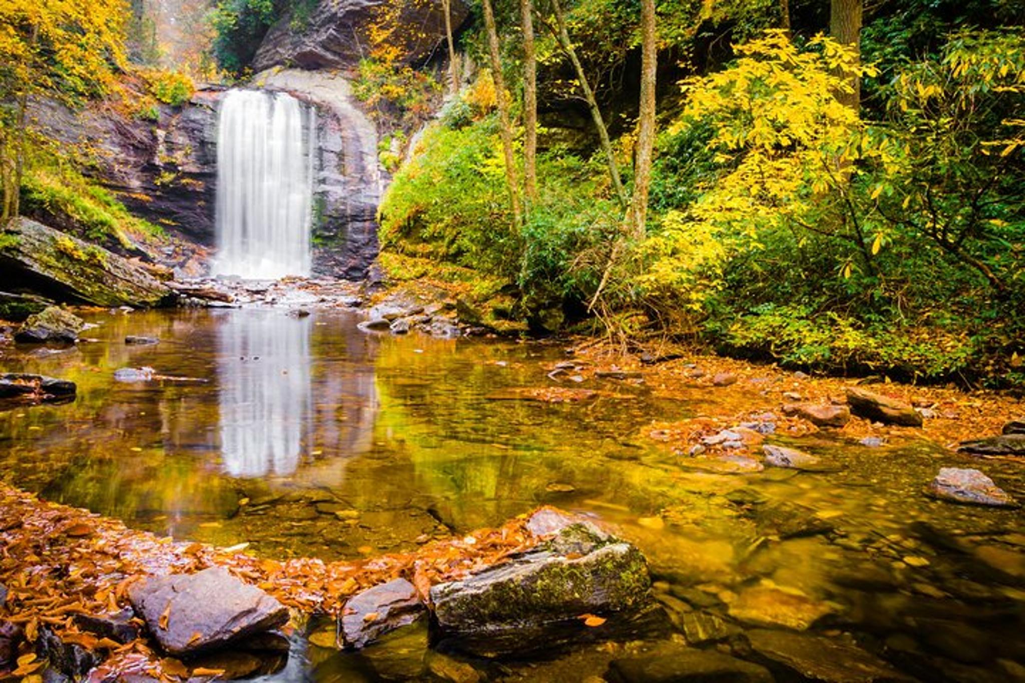 Asheville Waterfalls and Blue Ridge Parkway Hiking Tour - Image 3