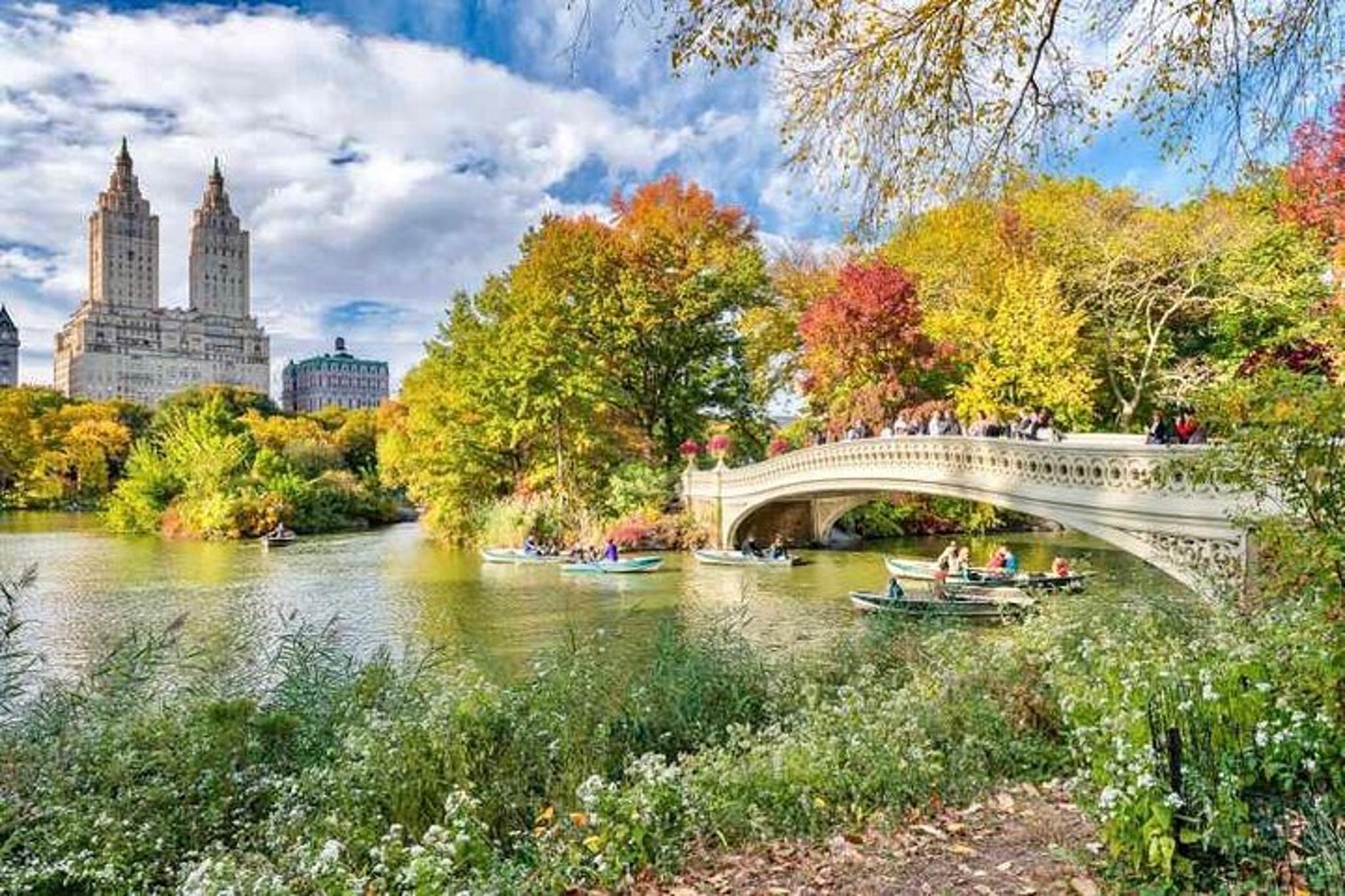 New York Central Park Pedicab Tour - Image 2